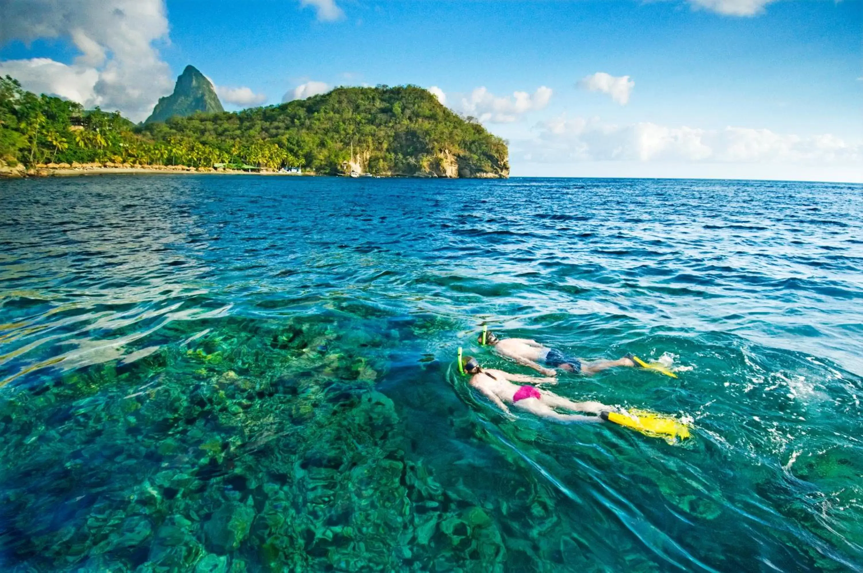 Snorkeling in Anse Chastanet Resort