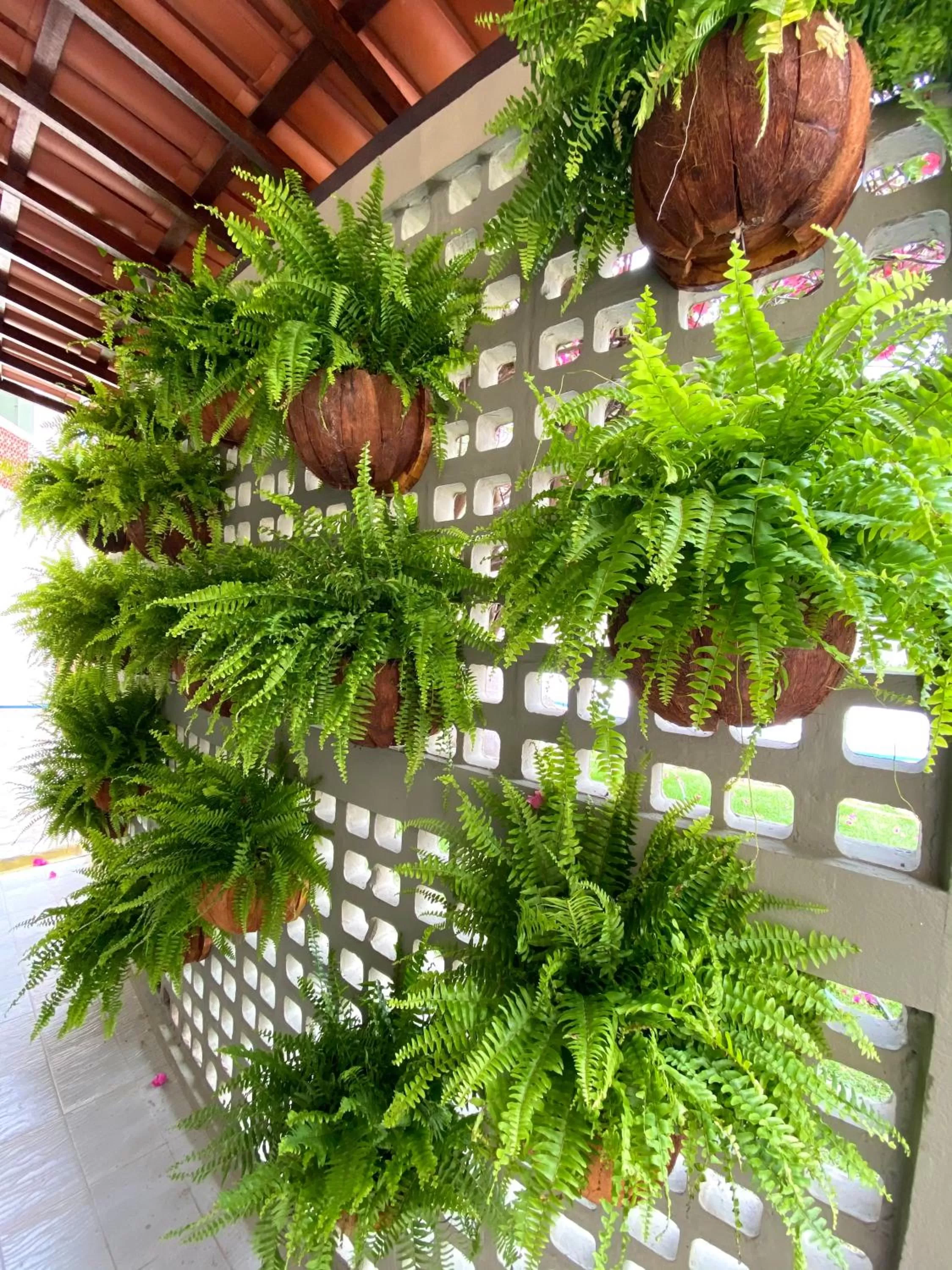 BELVEDERE PAULO AFONSO