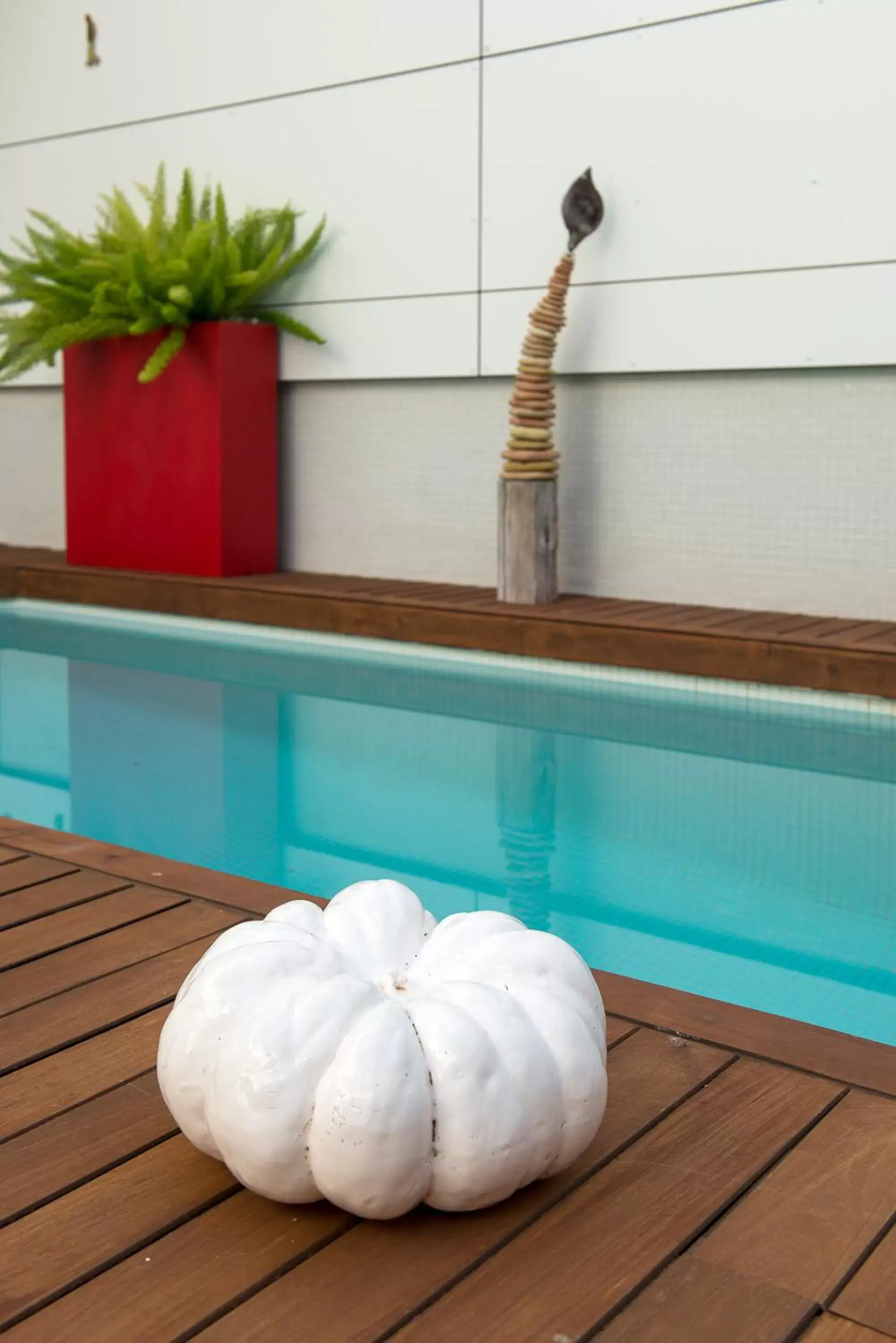 Garden, Swimming Pool in La Alcoba del Agua hotel boutique