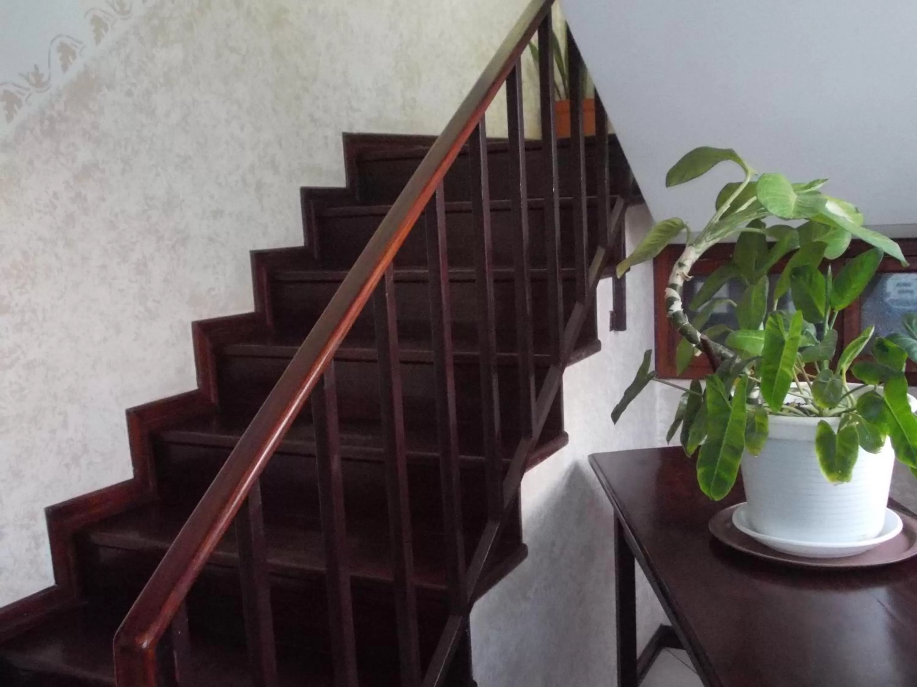 Decorative detail in Casa Comba