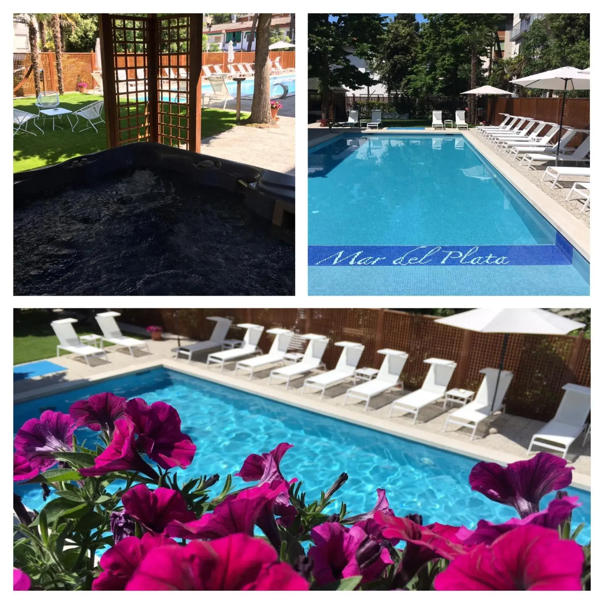 Other, Swimming Pool in Hotel Mar Del Plata