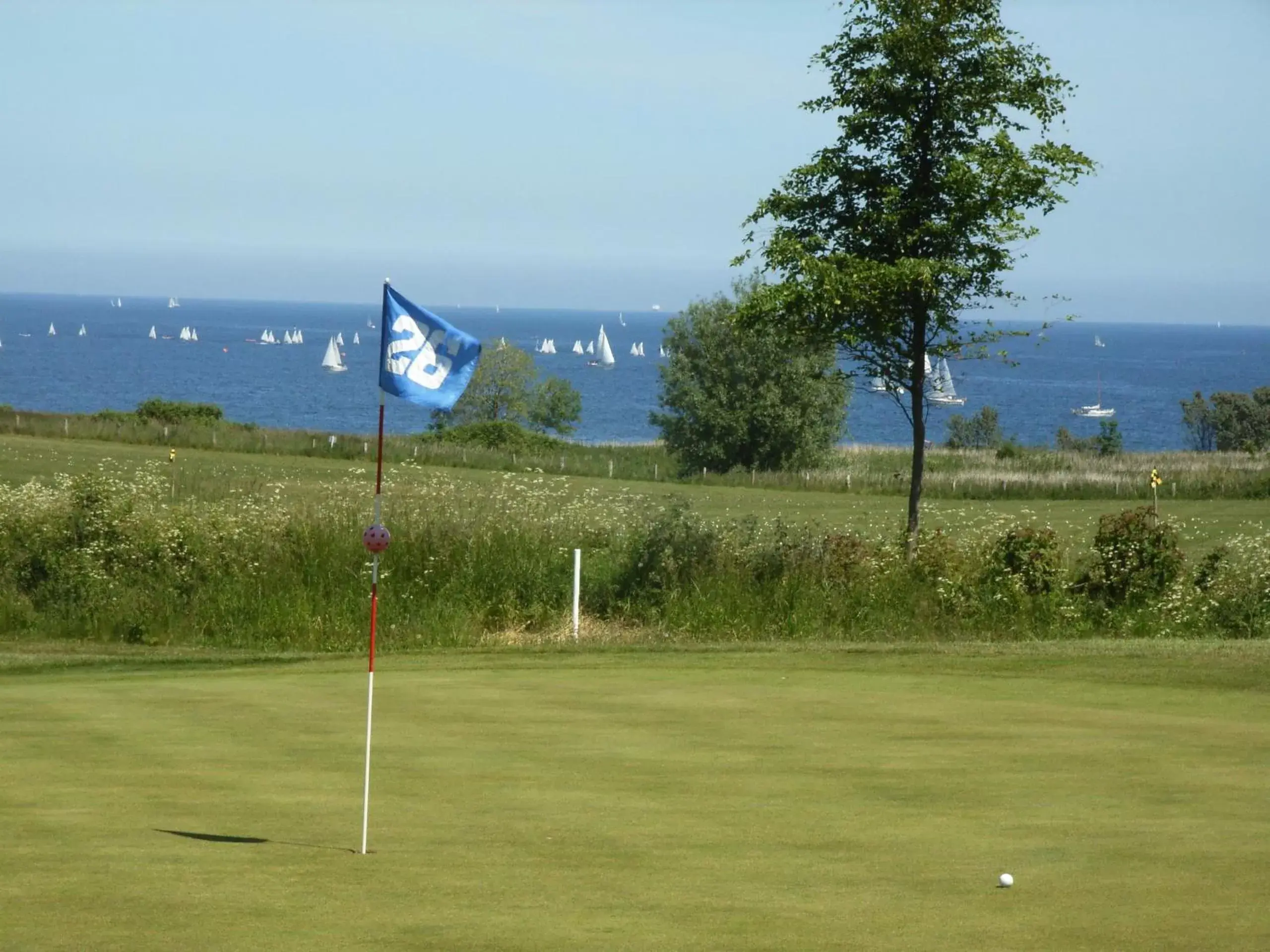 Golfcourse in Hotel Holsteiner Hof GmbH