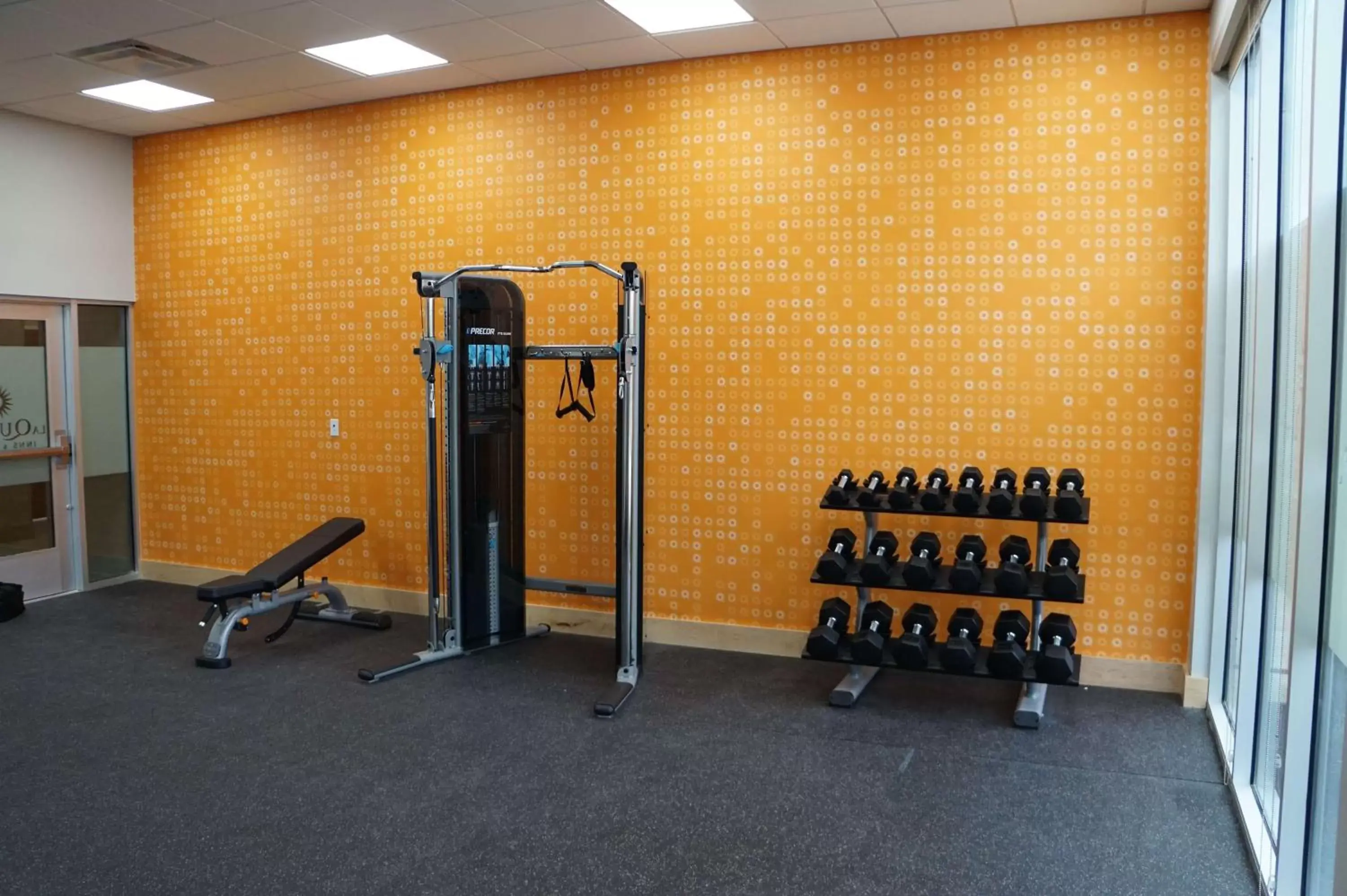 Fitness centre/facilities, Fitness Center/Facilities in La Quinta Inn & Suites by Wyndham Lewisville