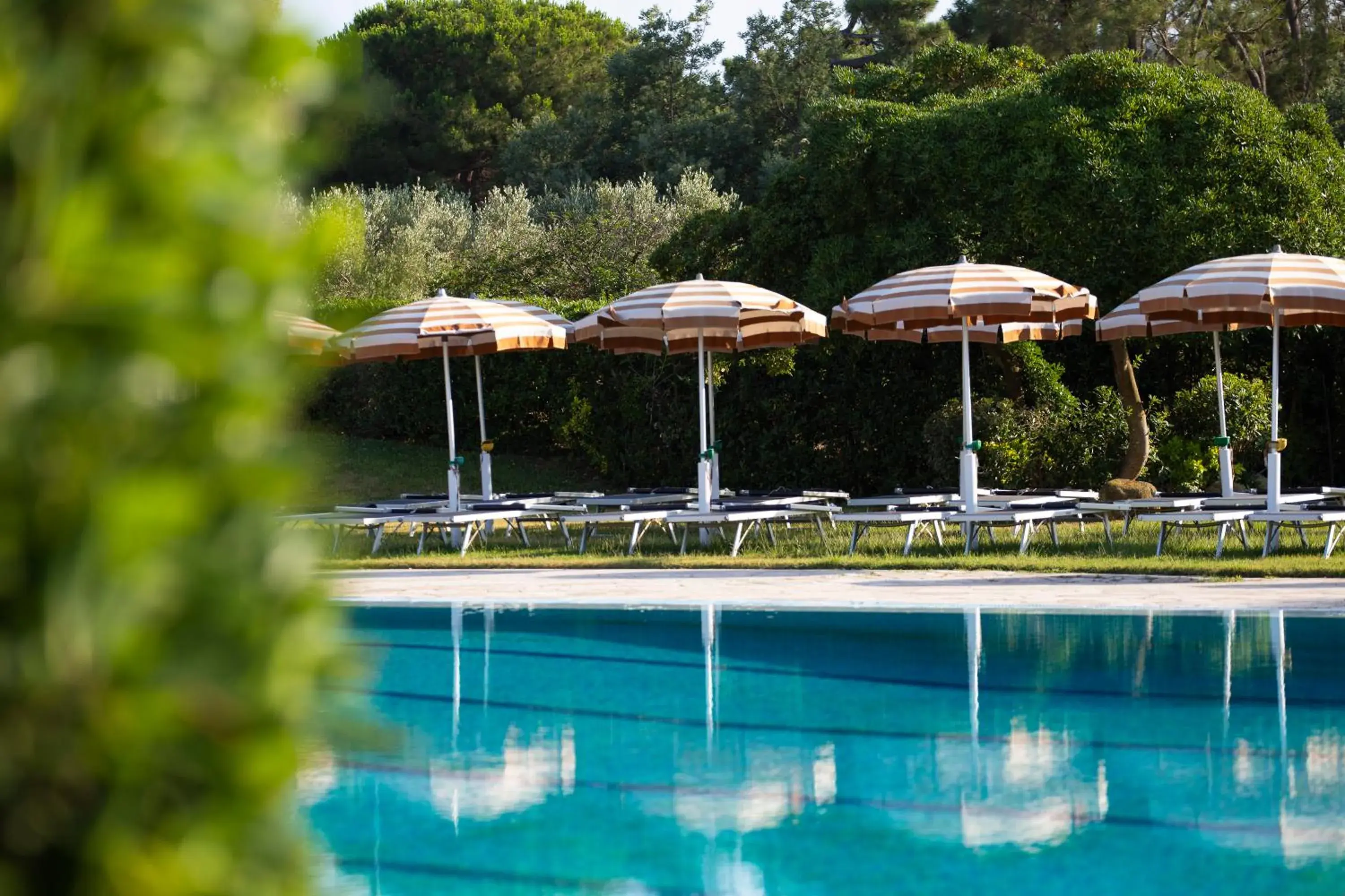 Swimming Pool in Hotel Fabricia