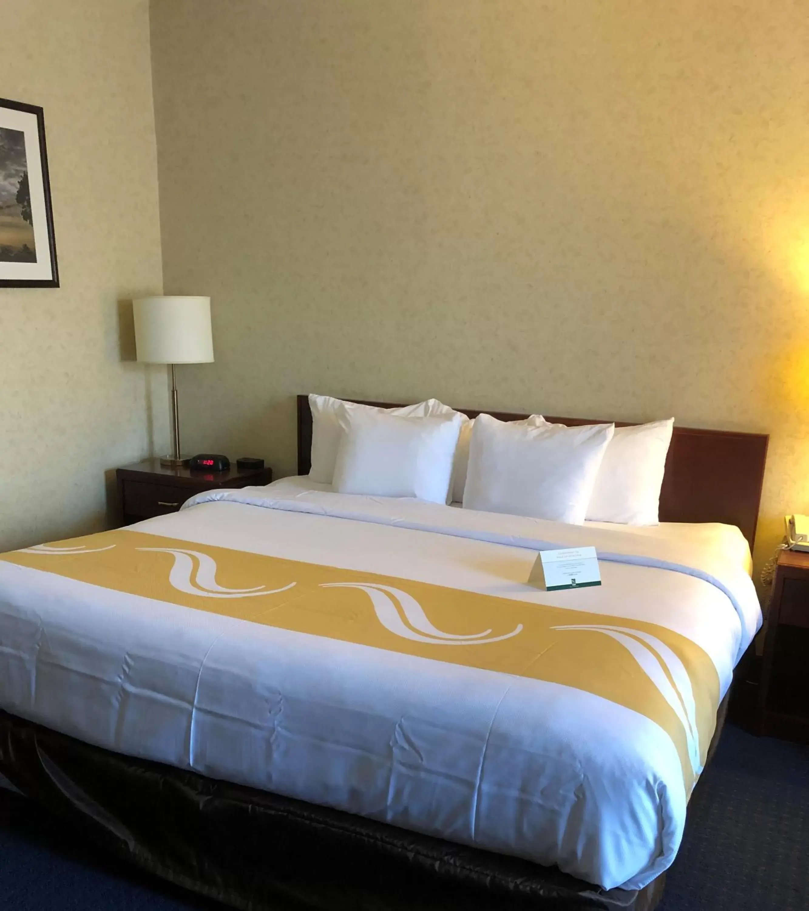 Business King Suite - Non-Smoking in Quality Hotel & Suites Woodstock