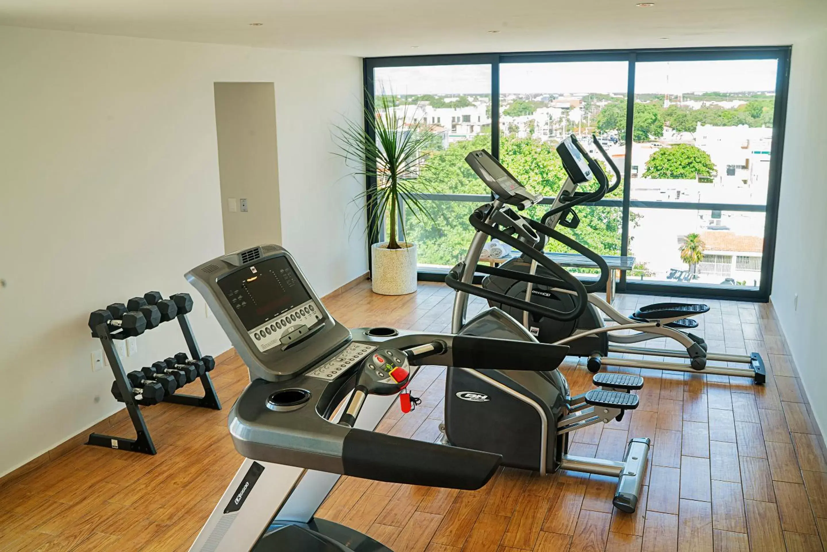 Property building, Fitness Center/Facilities in Opal Suites Apartments
