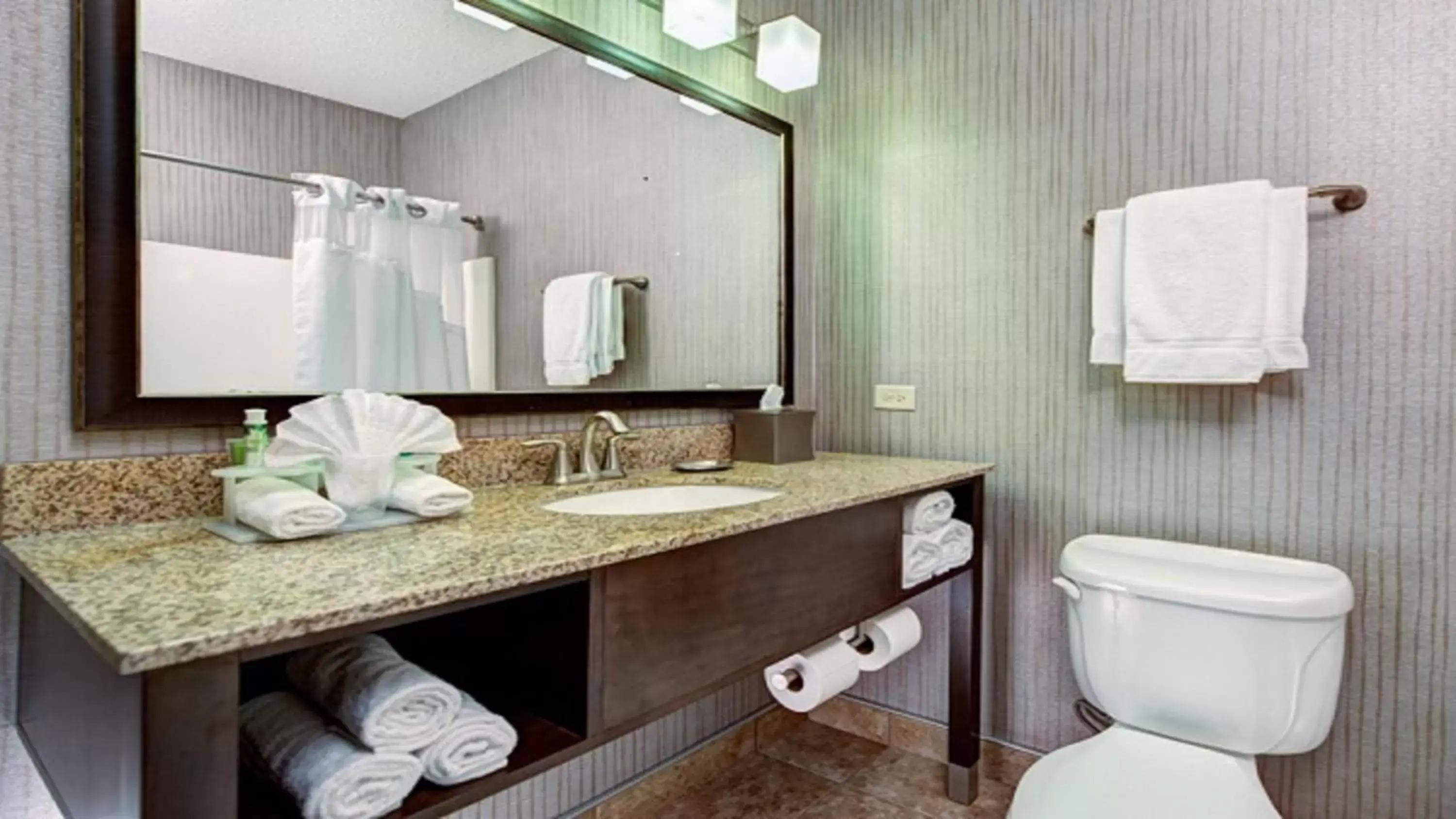 Bathroom in Holiday Inn Express Hotel & Suites Chicago-Deerfield/Lincolnshire, an IHG Hotel
