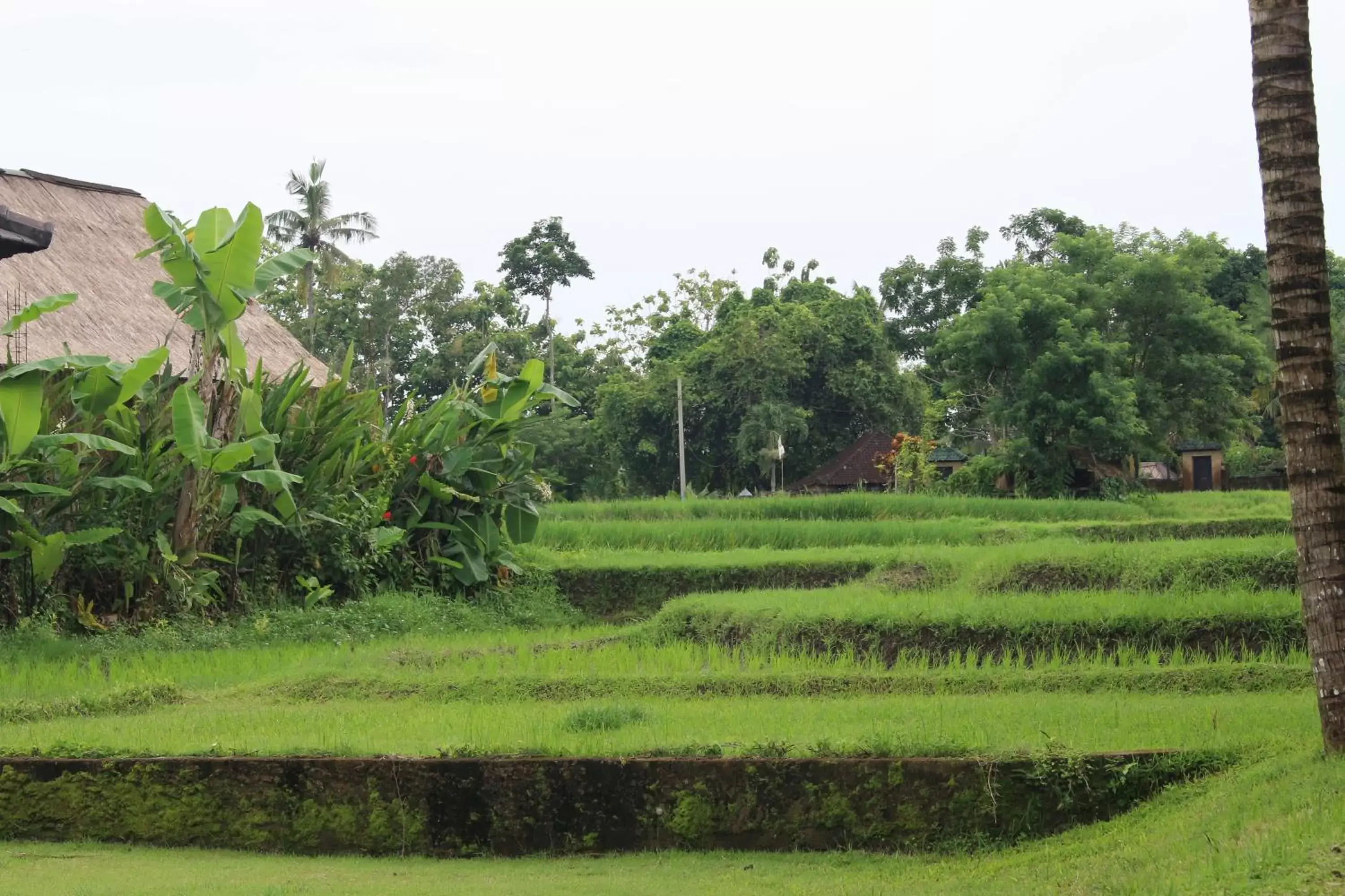 Landmark view, Garden in Saren Indah Hotel - CHSE Certified