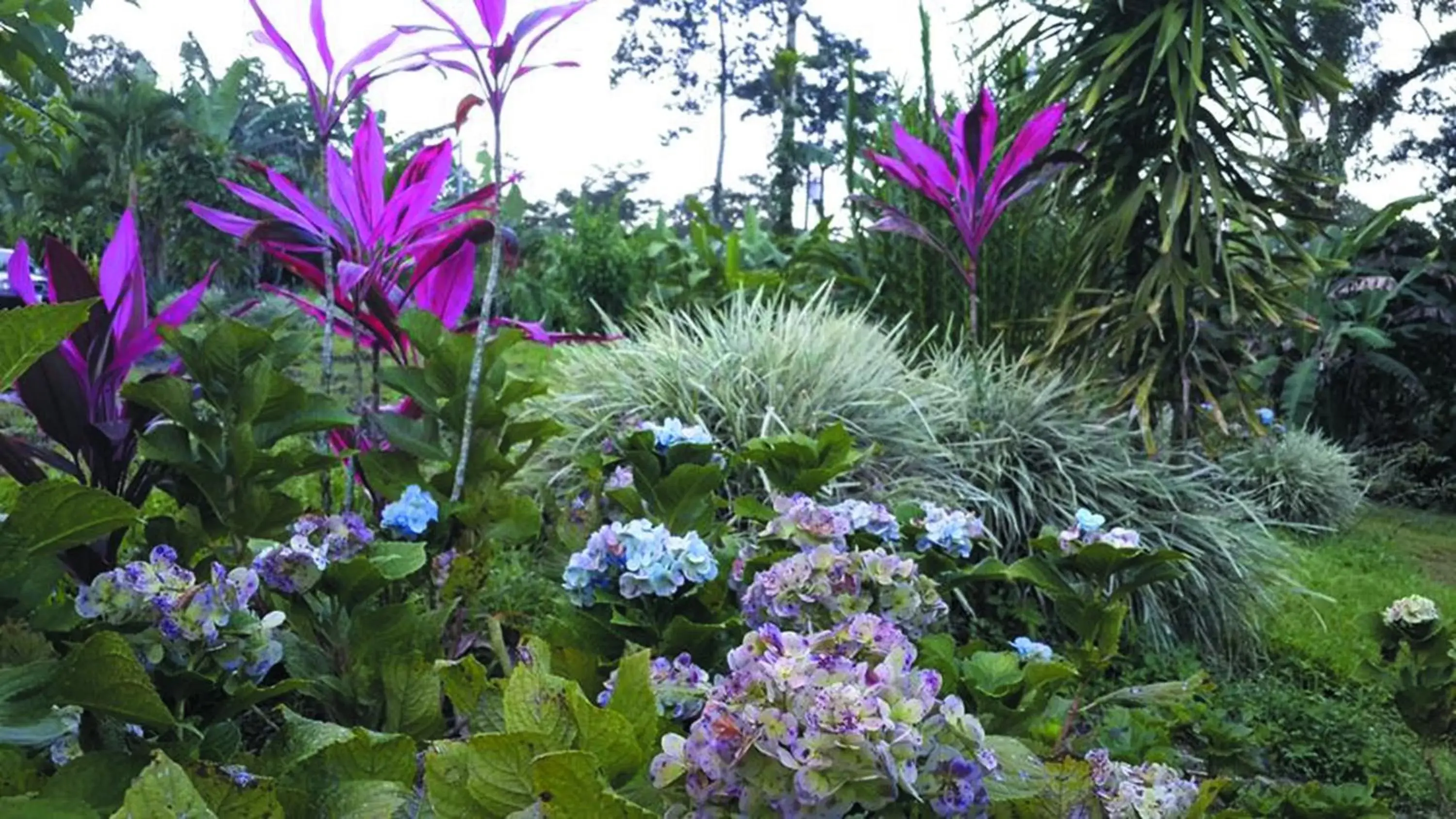 Garden view, Garden in Loma Real Hot Springs Bed & Breakfast