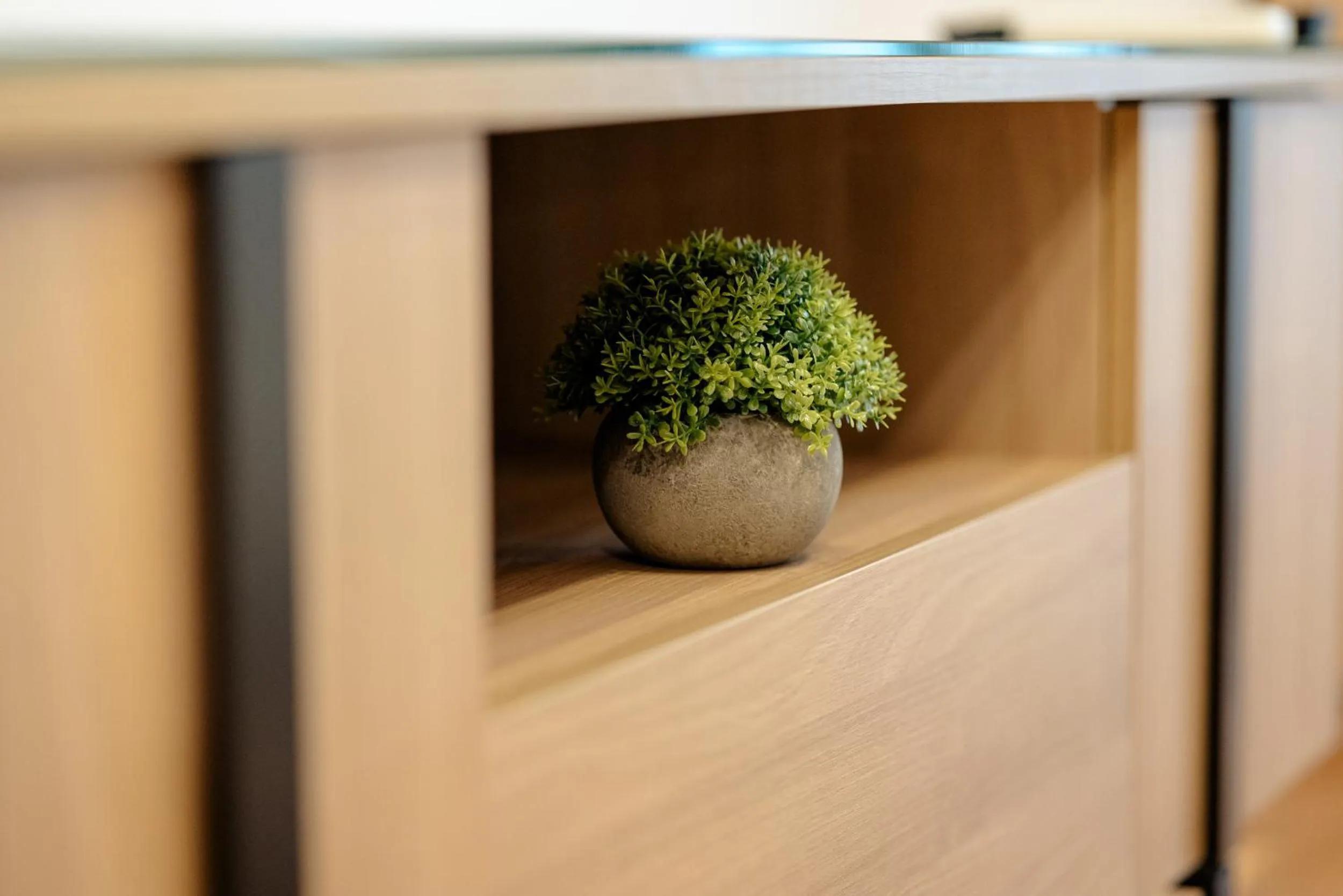 Apartamentos Debambú