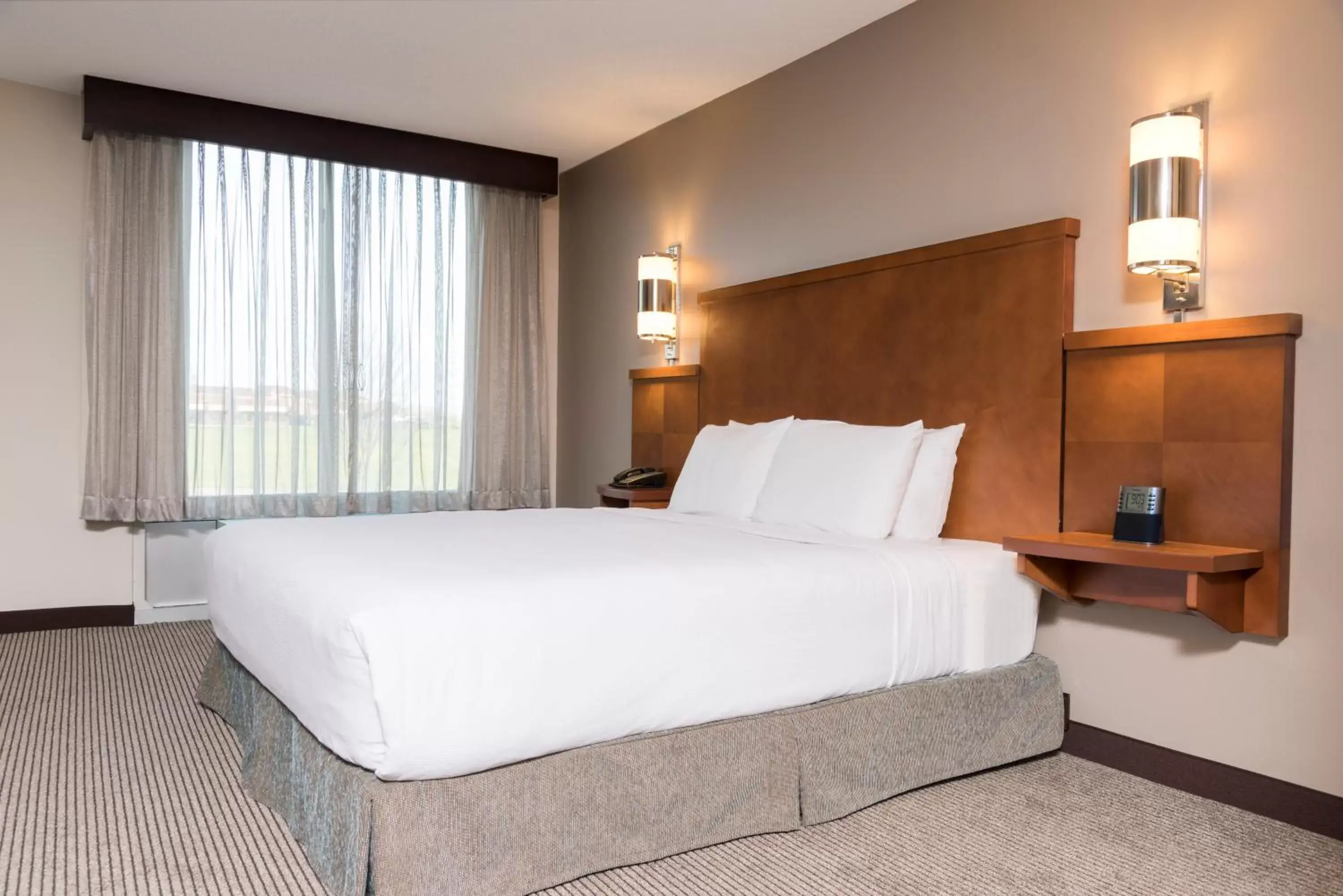 King Room with Sofa Bed and Accessible Tub - Disability Access in Hyatt Place Lexington