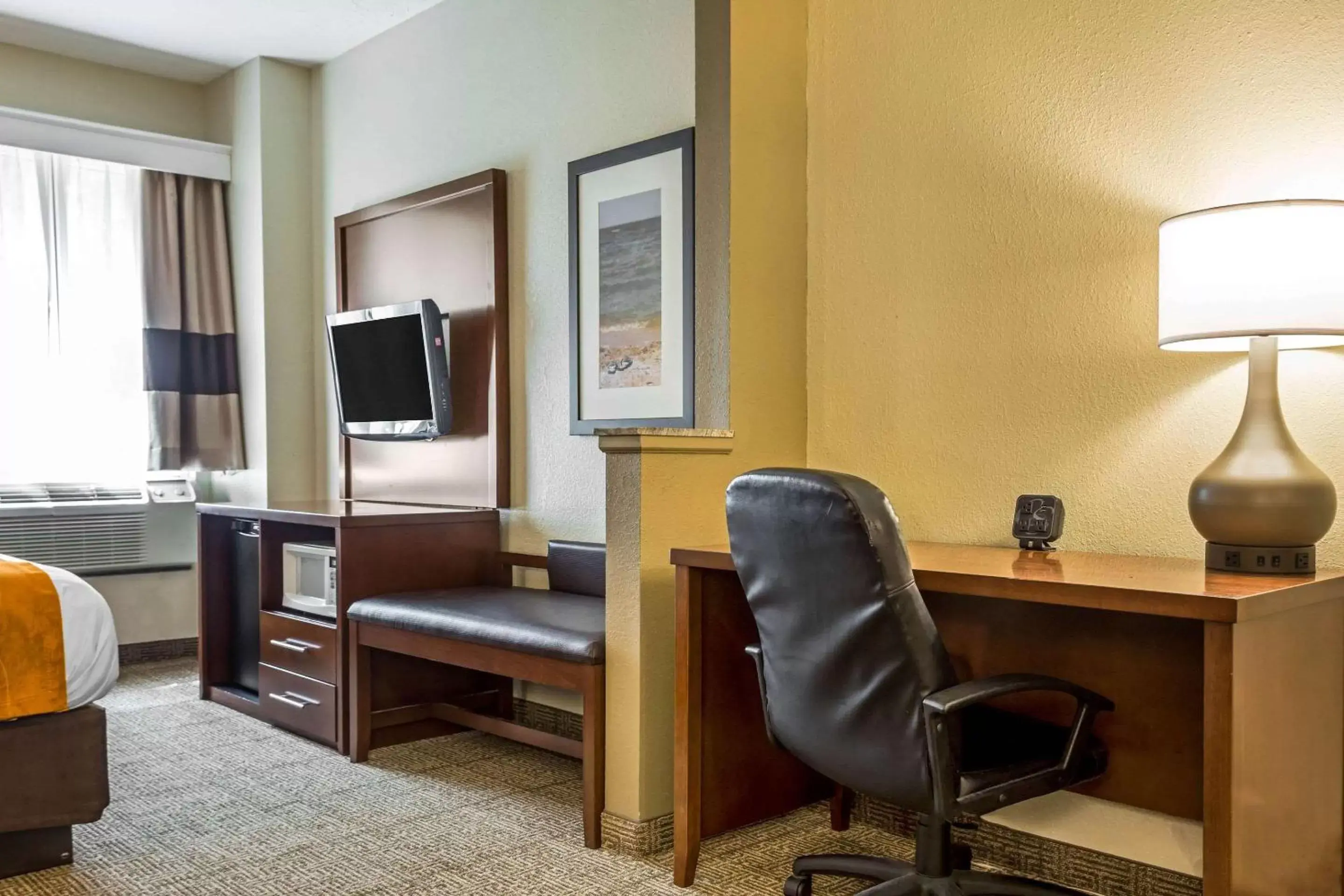 Photo of the whole room, Seating Area in Comfort Suites At the University