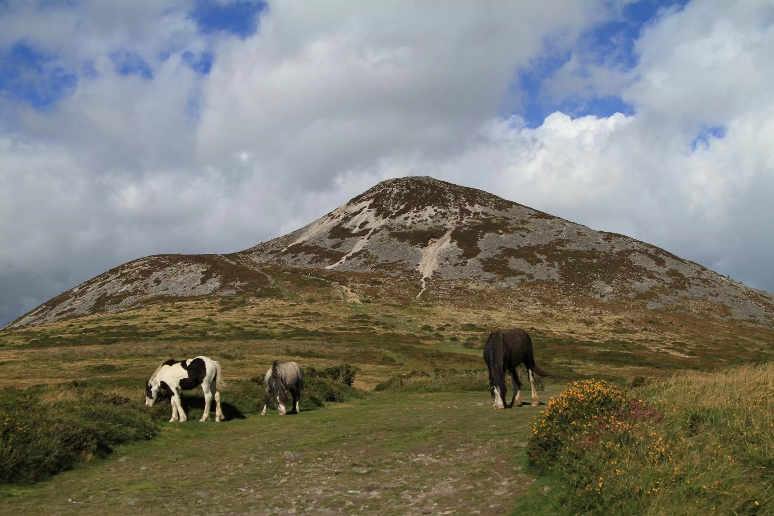 Day in Jacob's Well Hotel