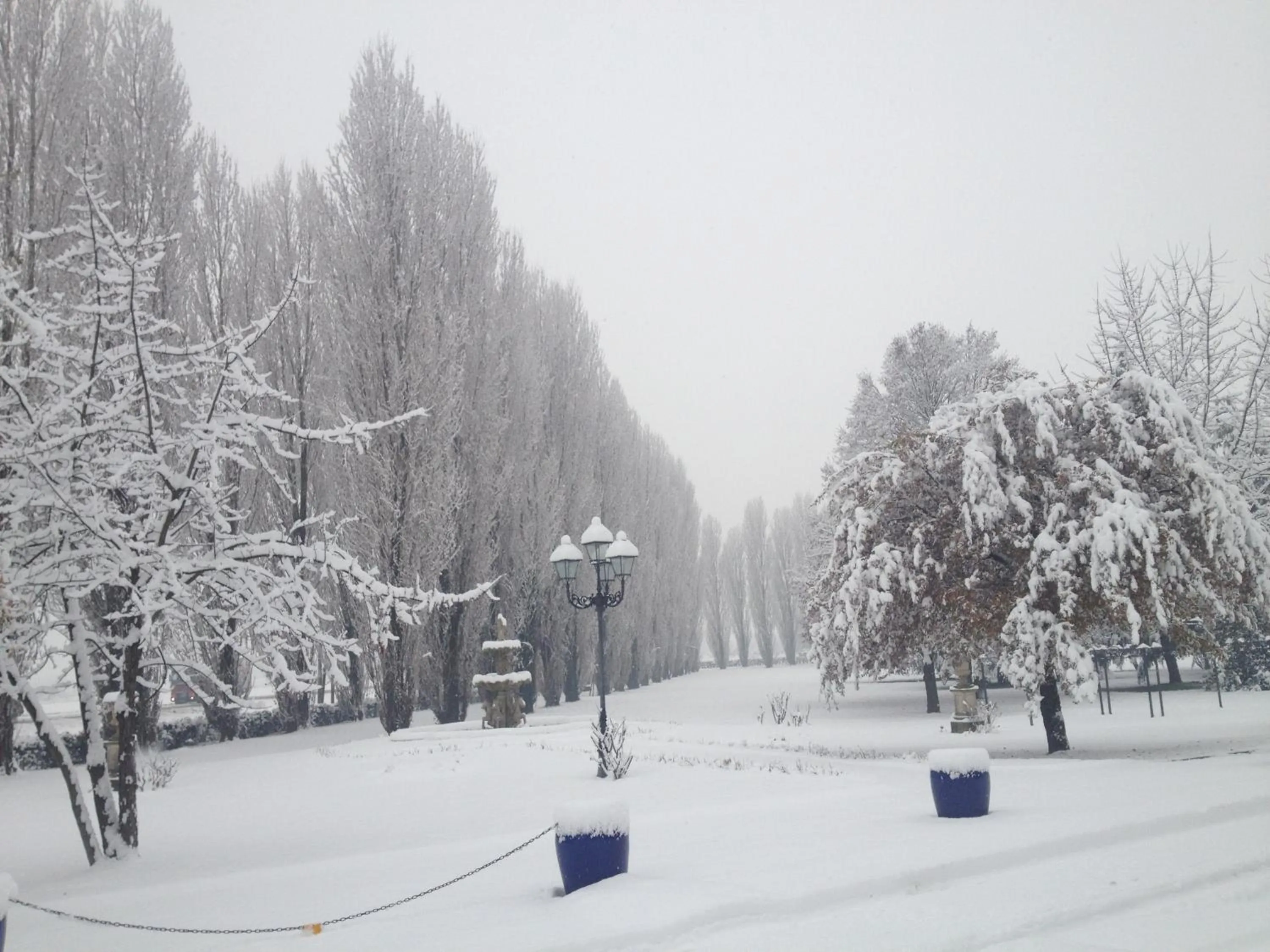 Garden in Villa Belvedere 1849