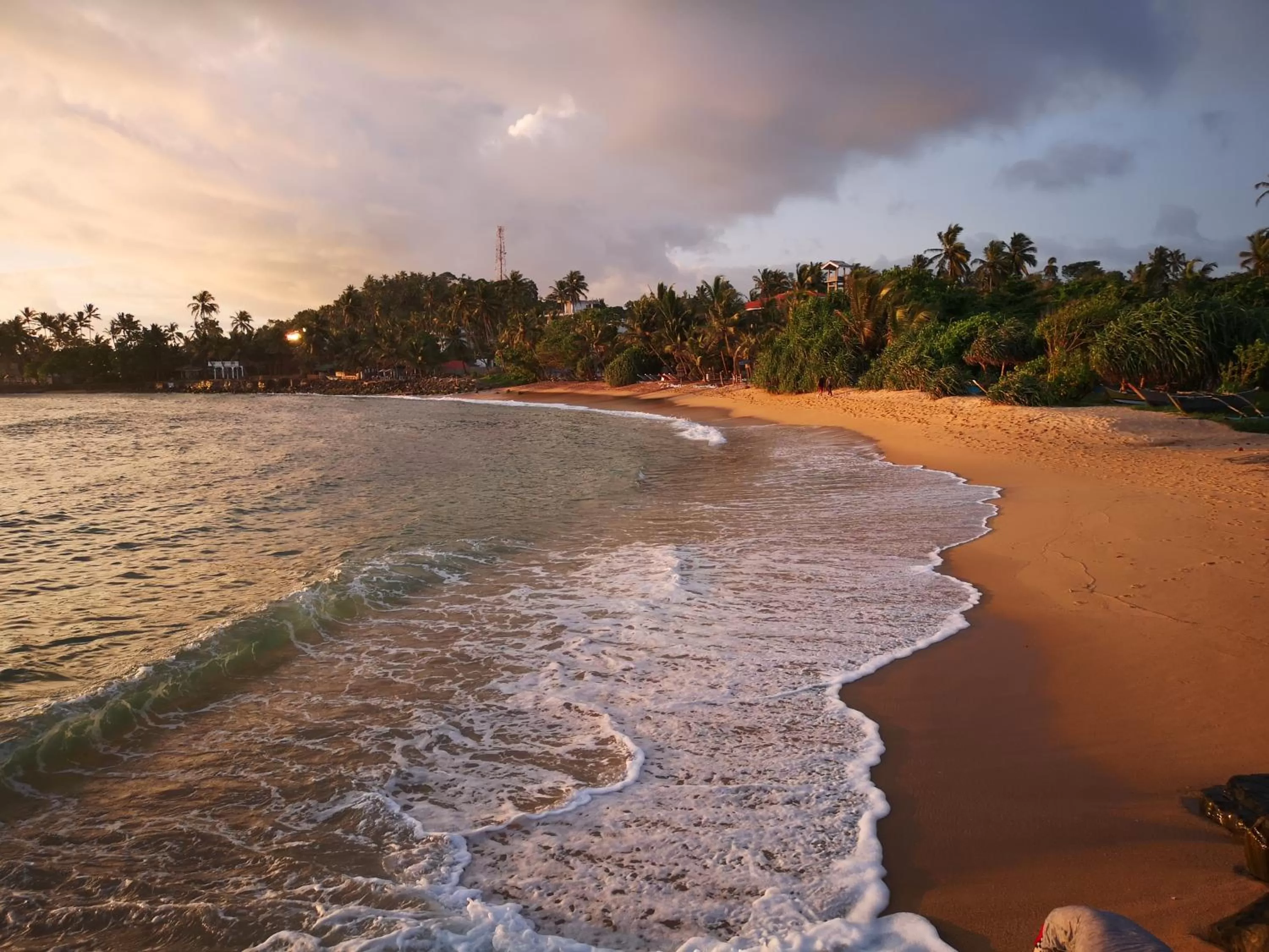 Natural landscape in Turtle Bay Beach Resort