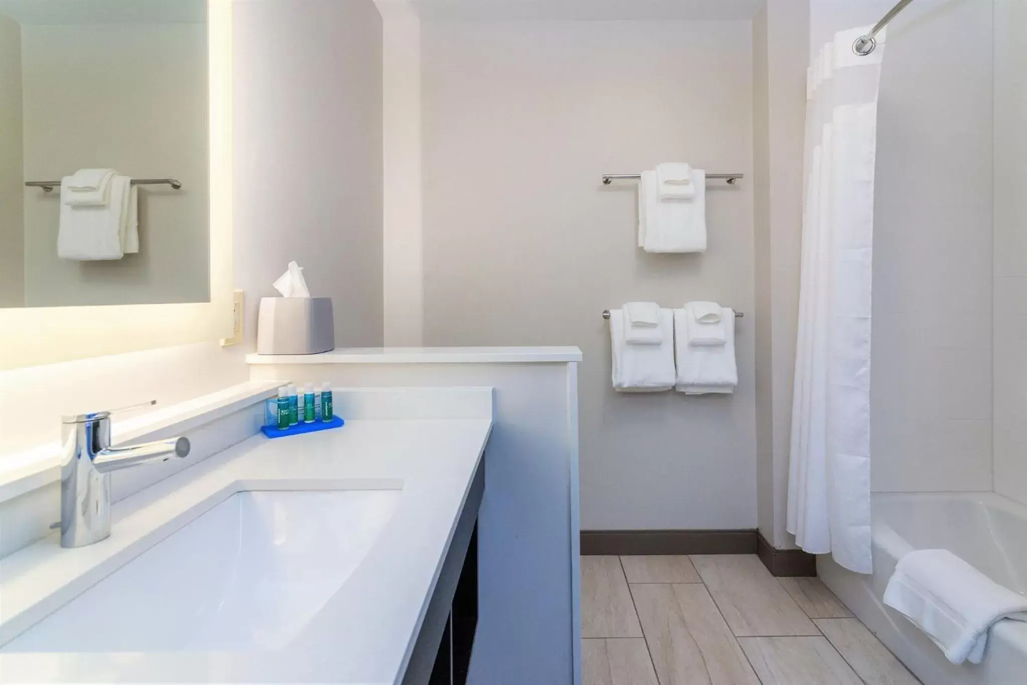 Bathroom in Holiday Inn Express & Suites Allen Park, an IHG Hotel