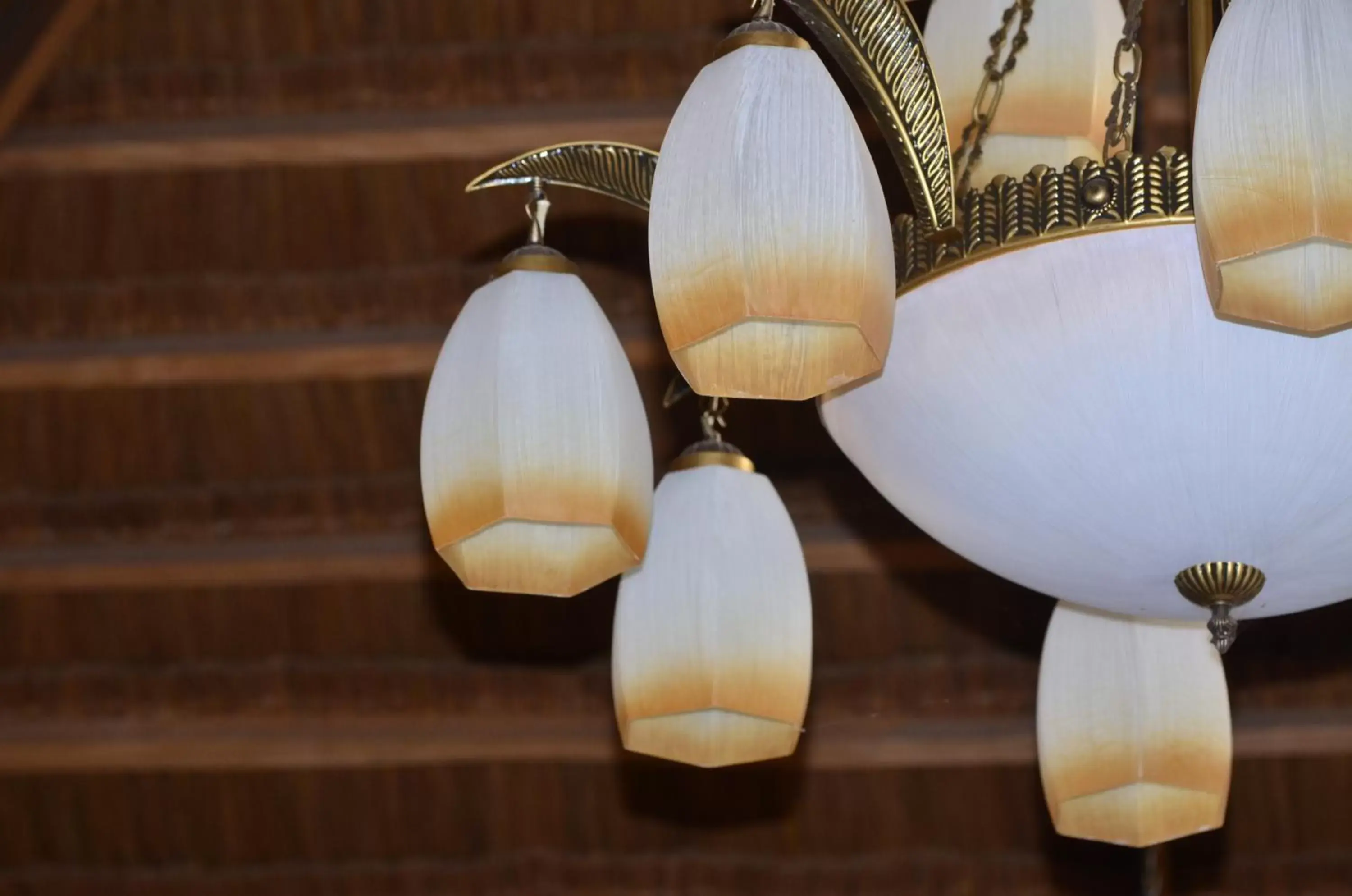 Restaurant/places to eat in Veraneante Resort Restaurant/places to eat in Veraneante Resort