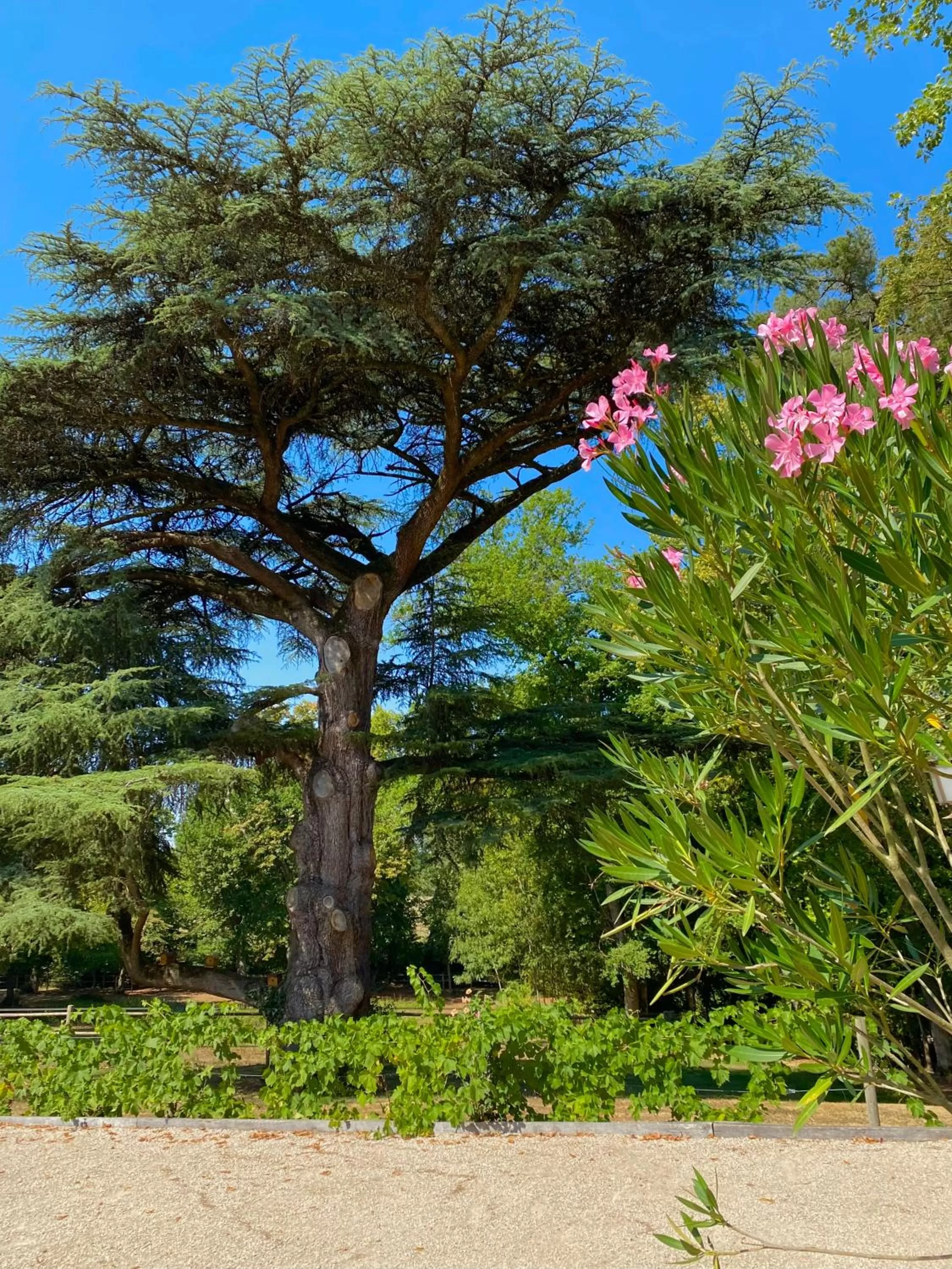Maison D'hôtes Sainte-Marie