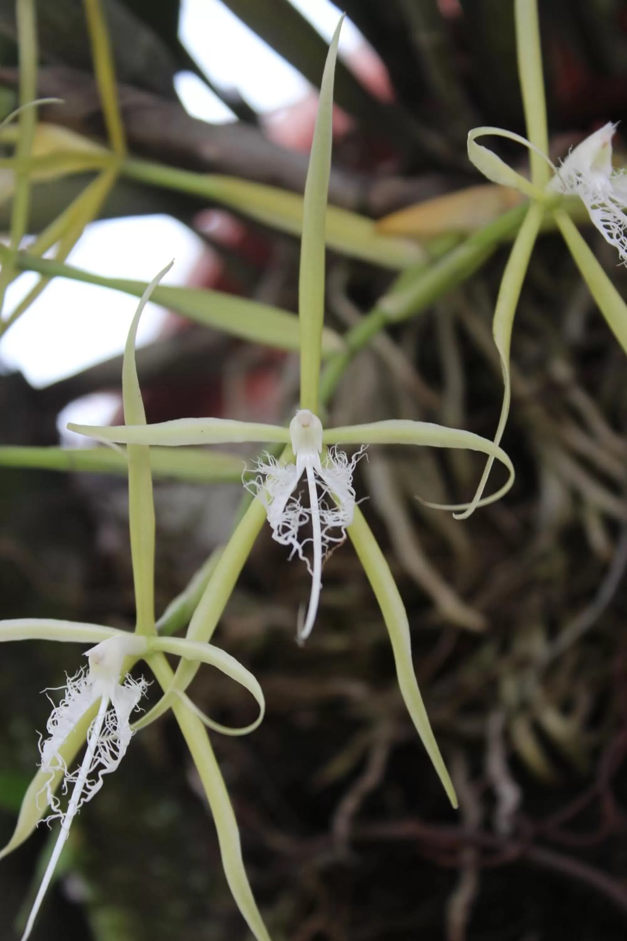 Natural landscape in Hotel Your House