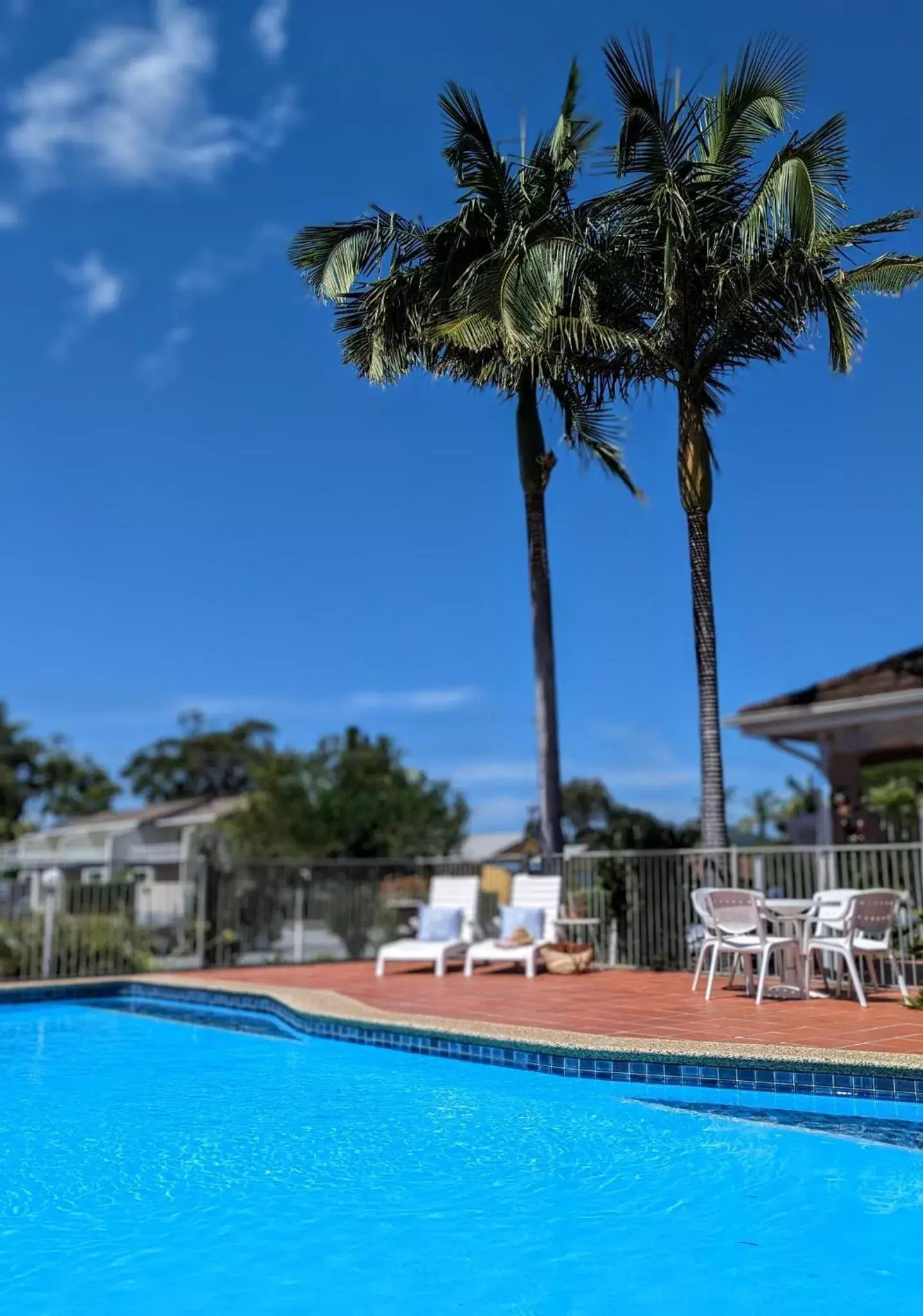 Swimming Pool in Island Palms Motor Inn