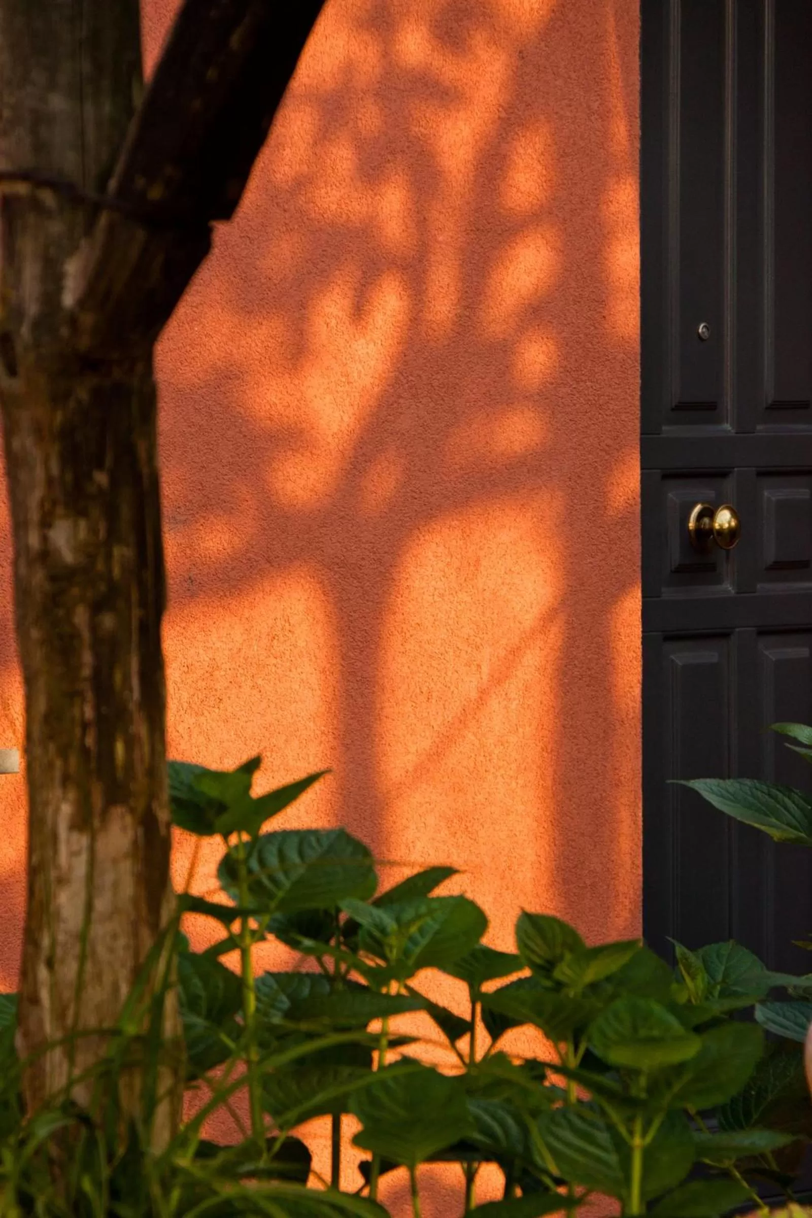 Decorative detail in La Maison de Titty & Margherita