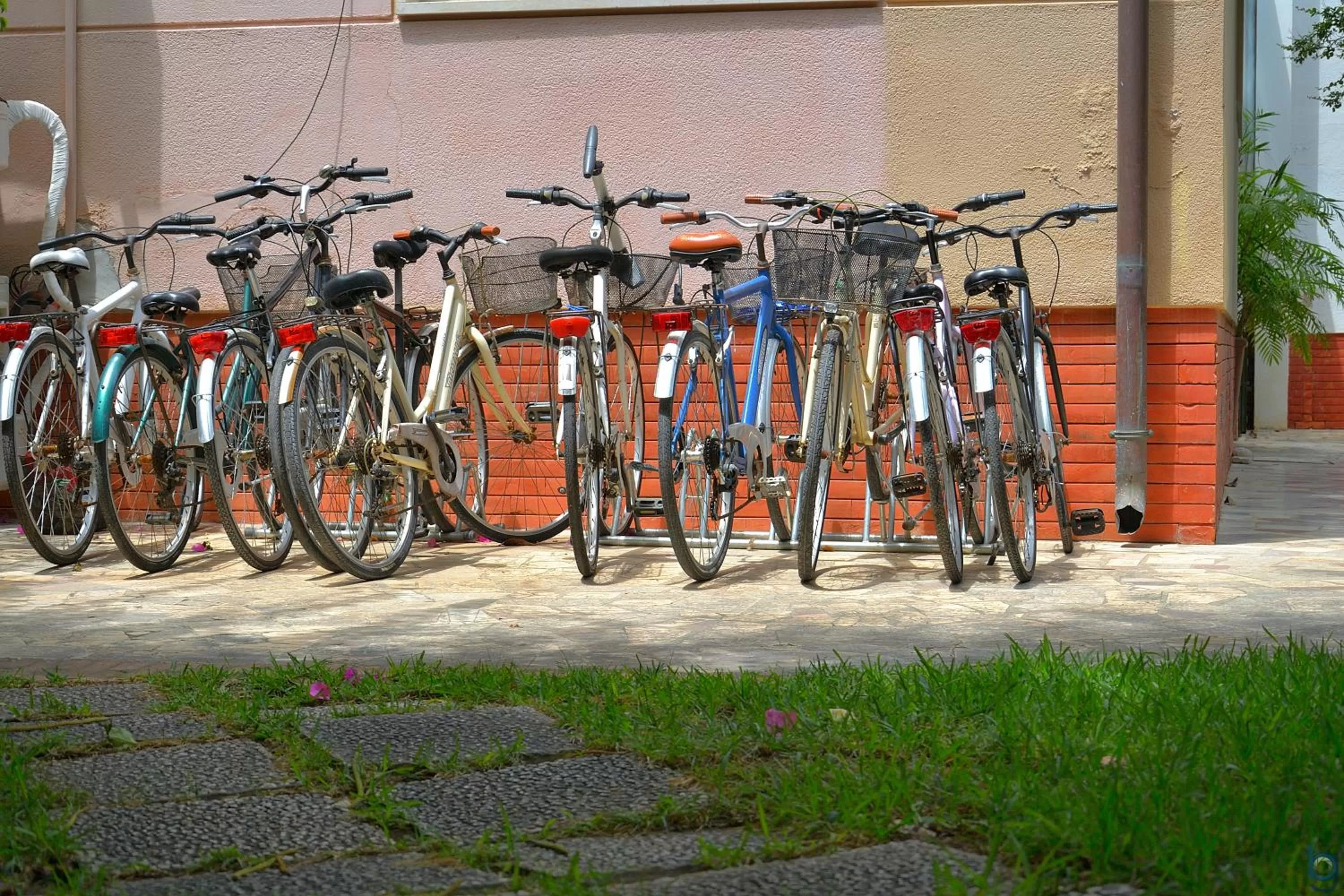 Area and facilities in B&b Mondello Resort