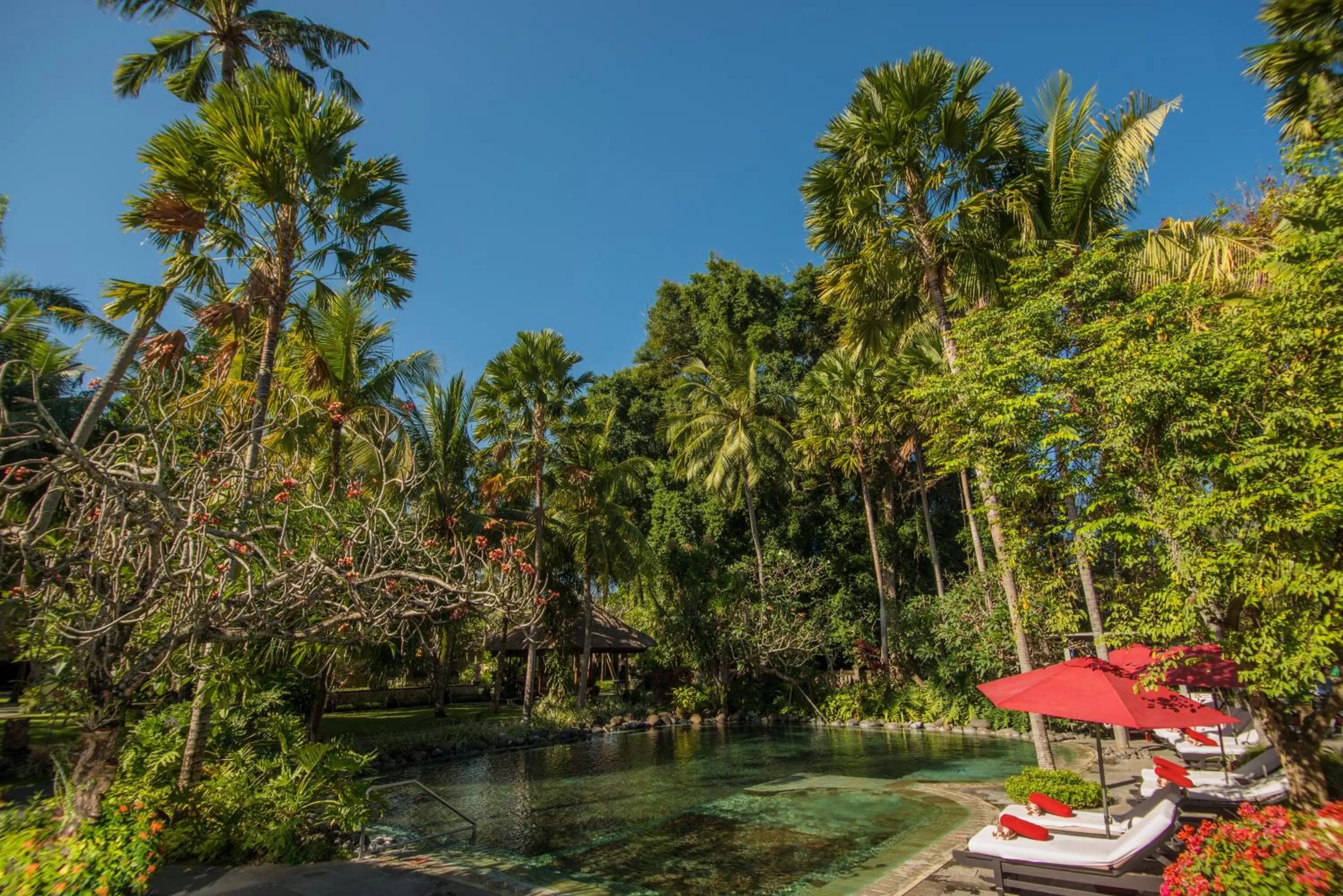 Garden in Segara Village Hotel