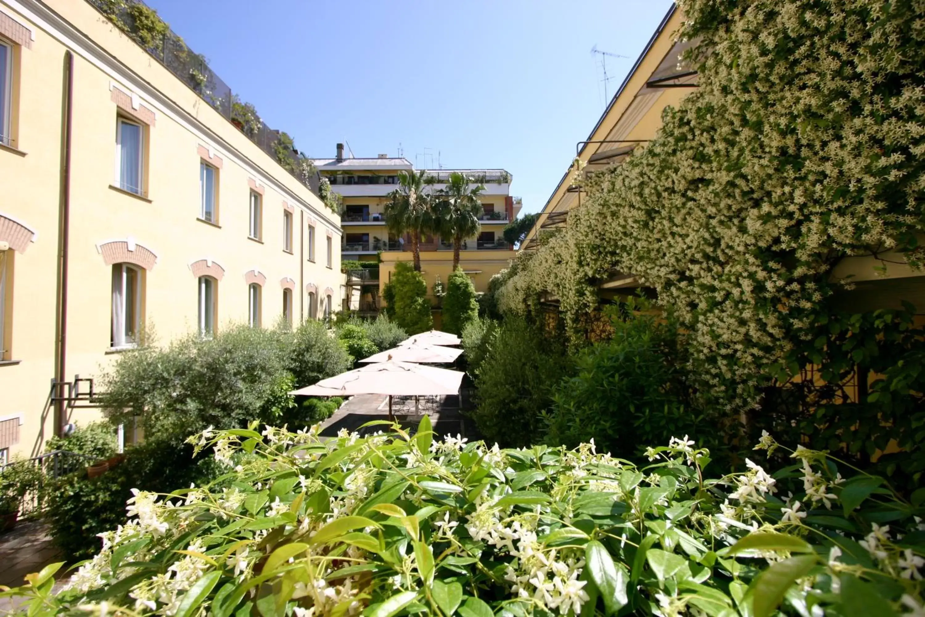 Garden view in Ateneo Garden Palace