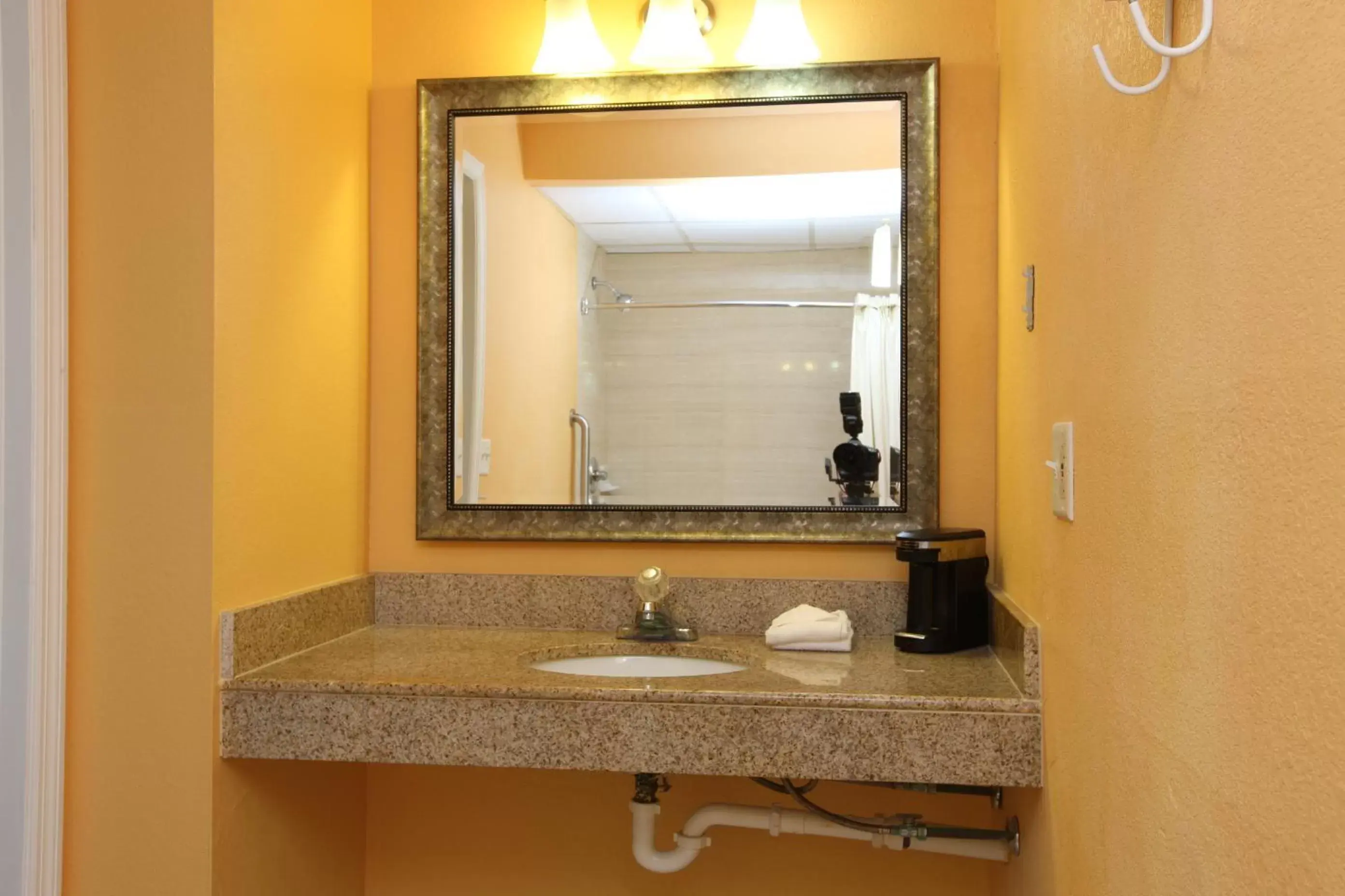 Decorative detail, Bathroom in Budgetel Inn Glens Falls-Lake George-Saratoga
