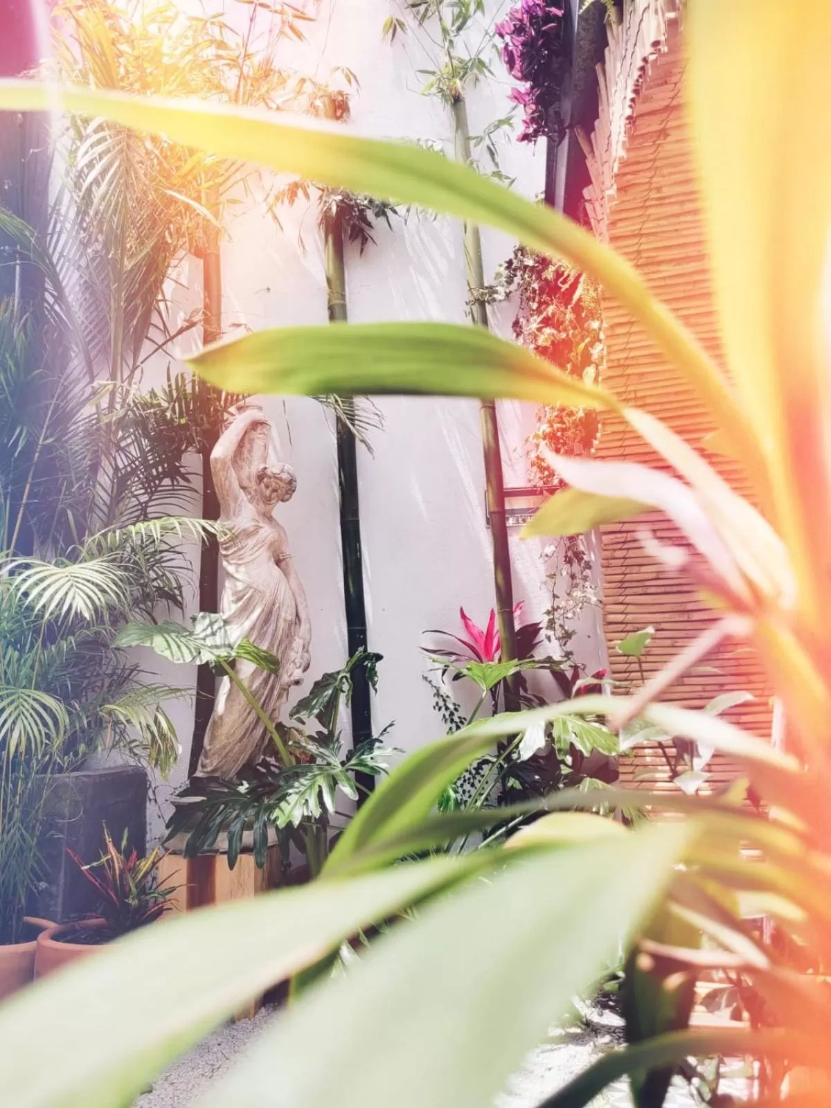 Property building in Hostal Hoja Santa