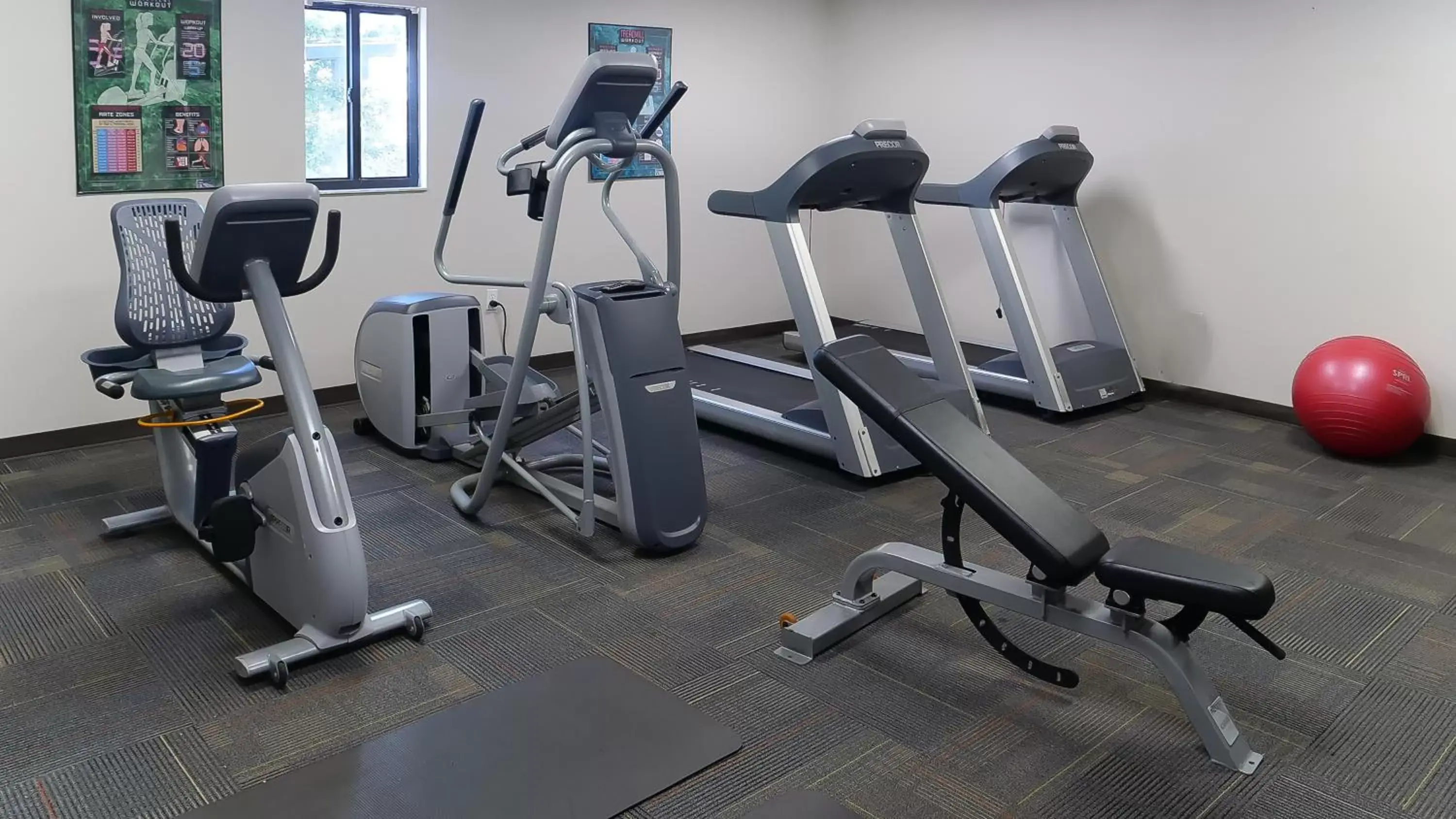 Fitness centre/facilities, Fitness Center/Facilities in Hotel South Tampa & Suites