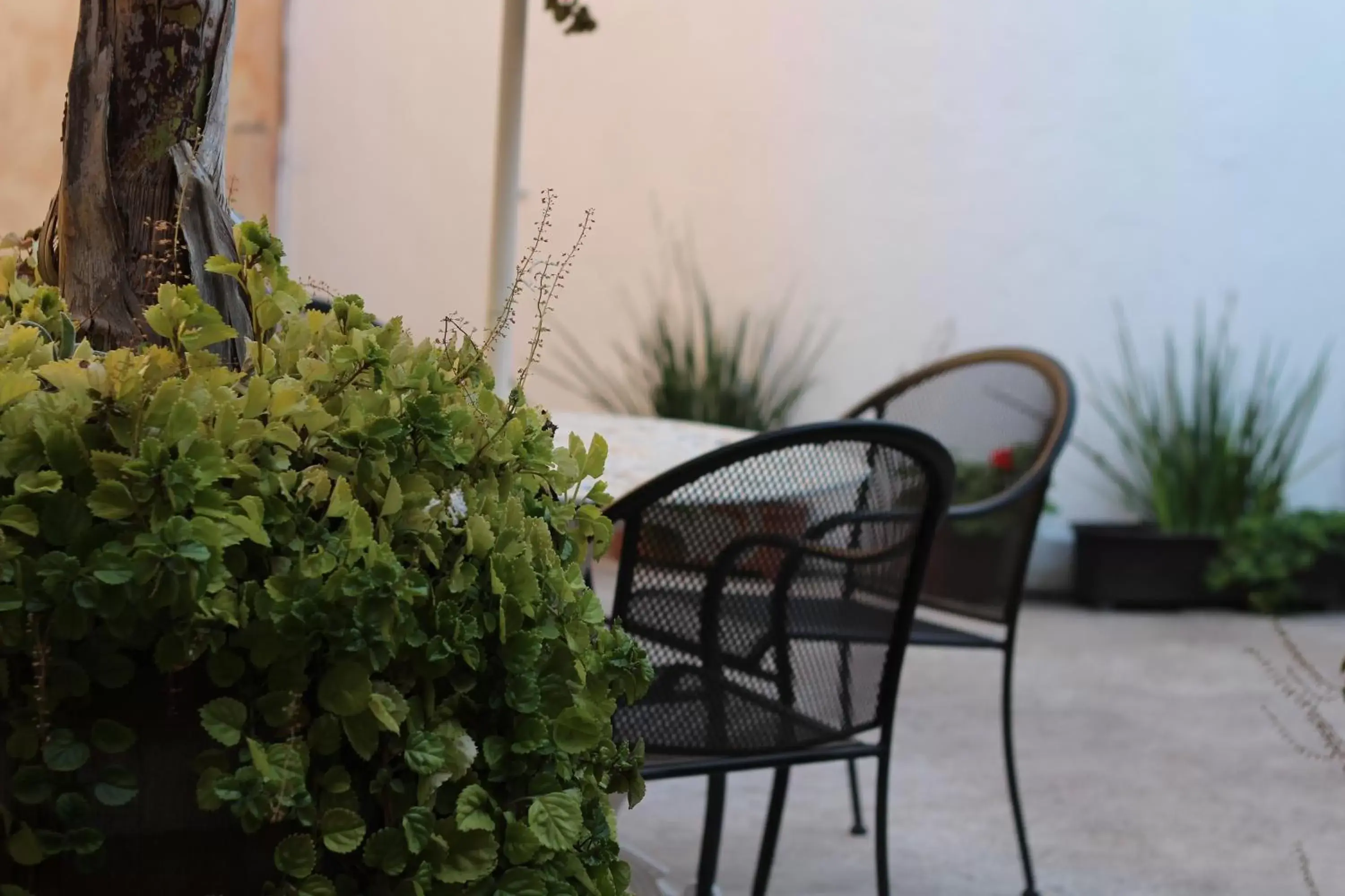 Seating Area in Hotel Punto 79