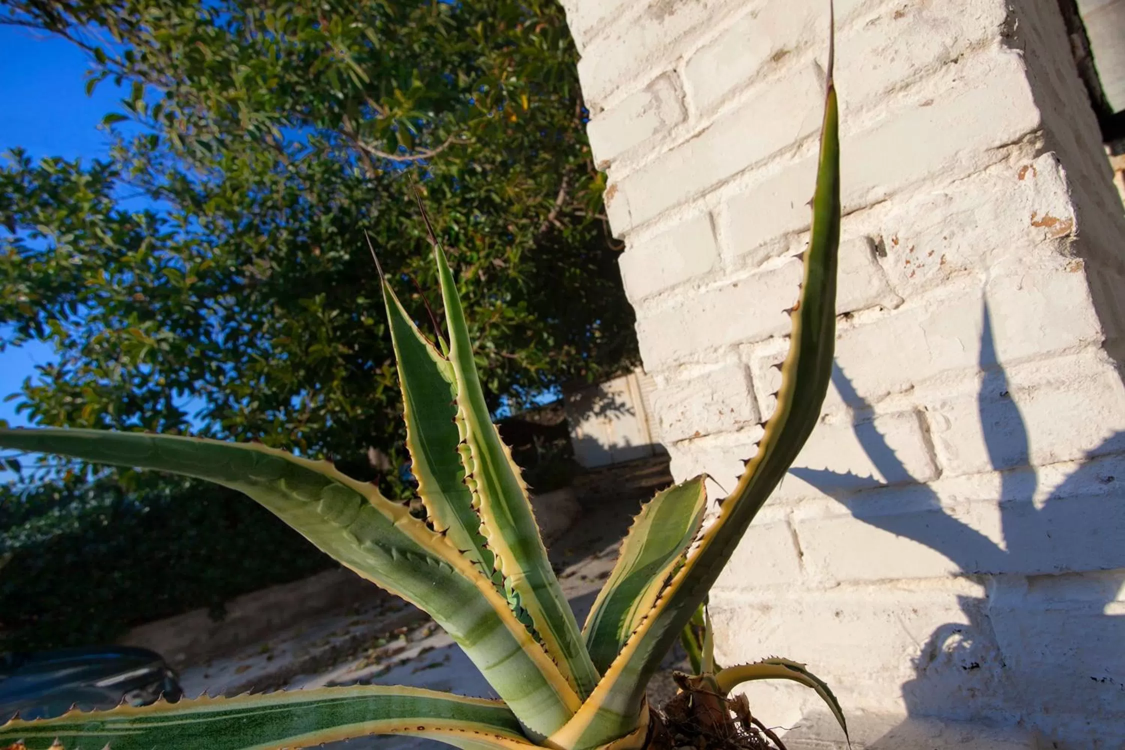 Villino Erminia - Seaside Art b&b