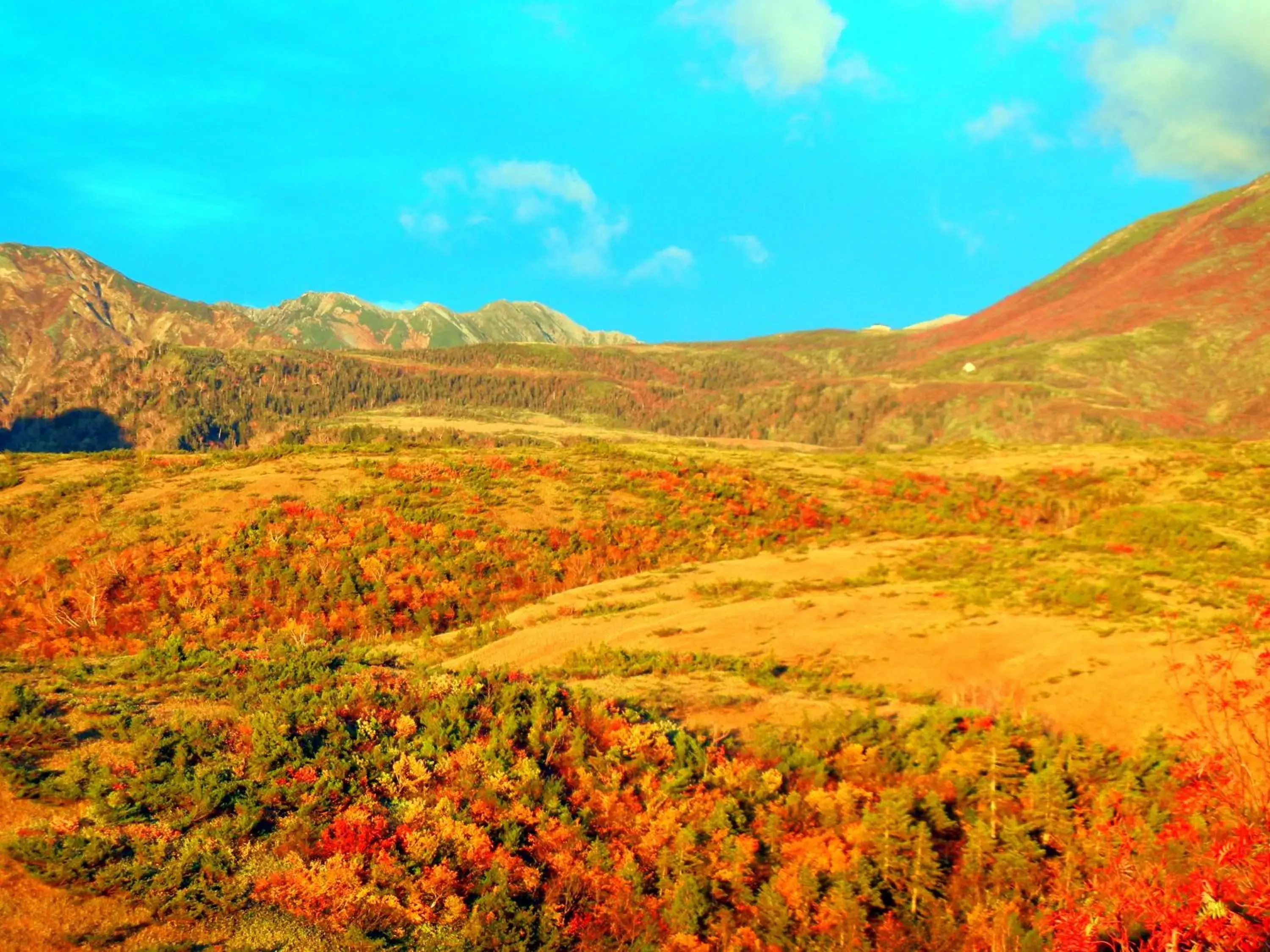 Nearby landmark, Natural Landscape in Hotel Morinokaze Tateyama