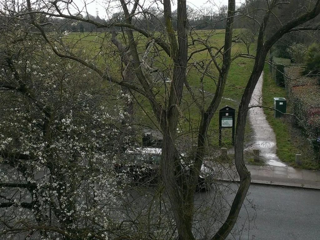 View (from property/room) in Iolanthe