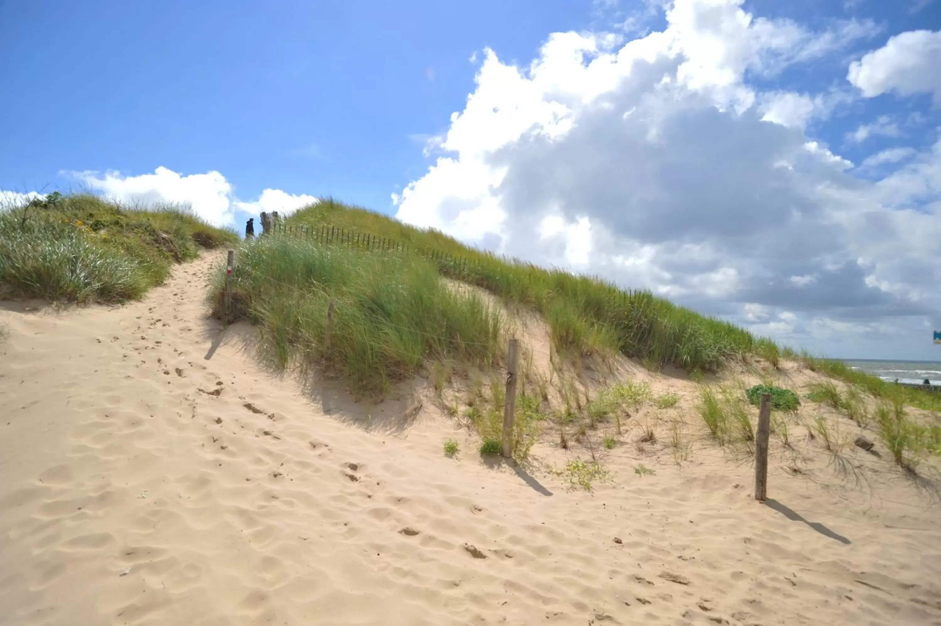 Area and facilities, Beach in Hotel Zuiderduin