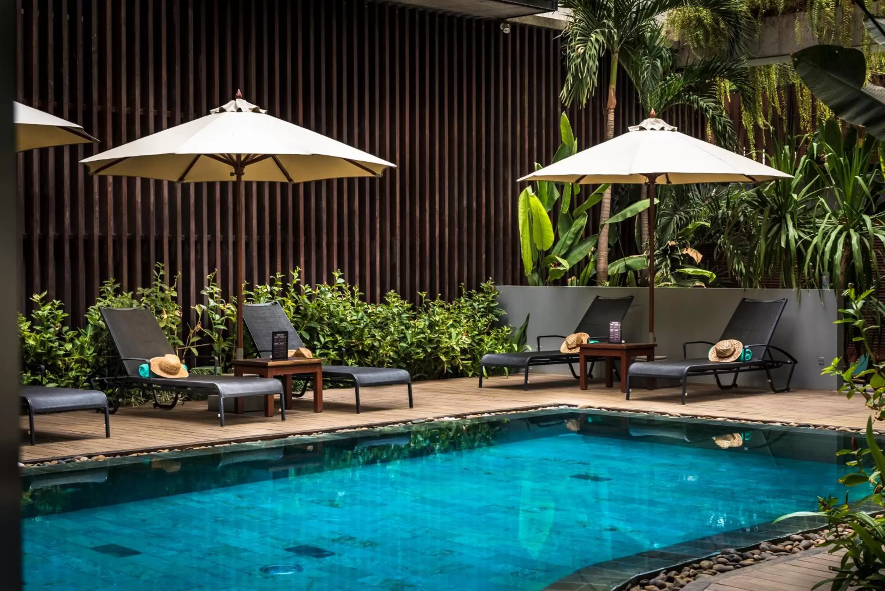 Swimming Pool in The Aviary Hotel