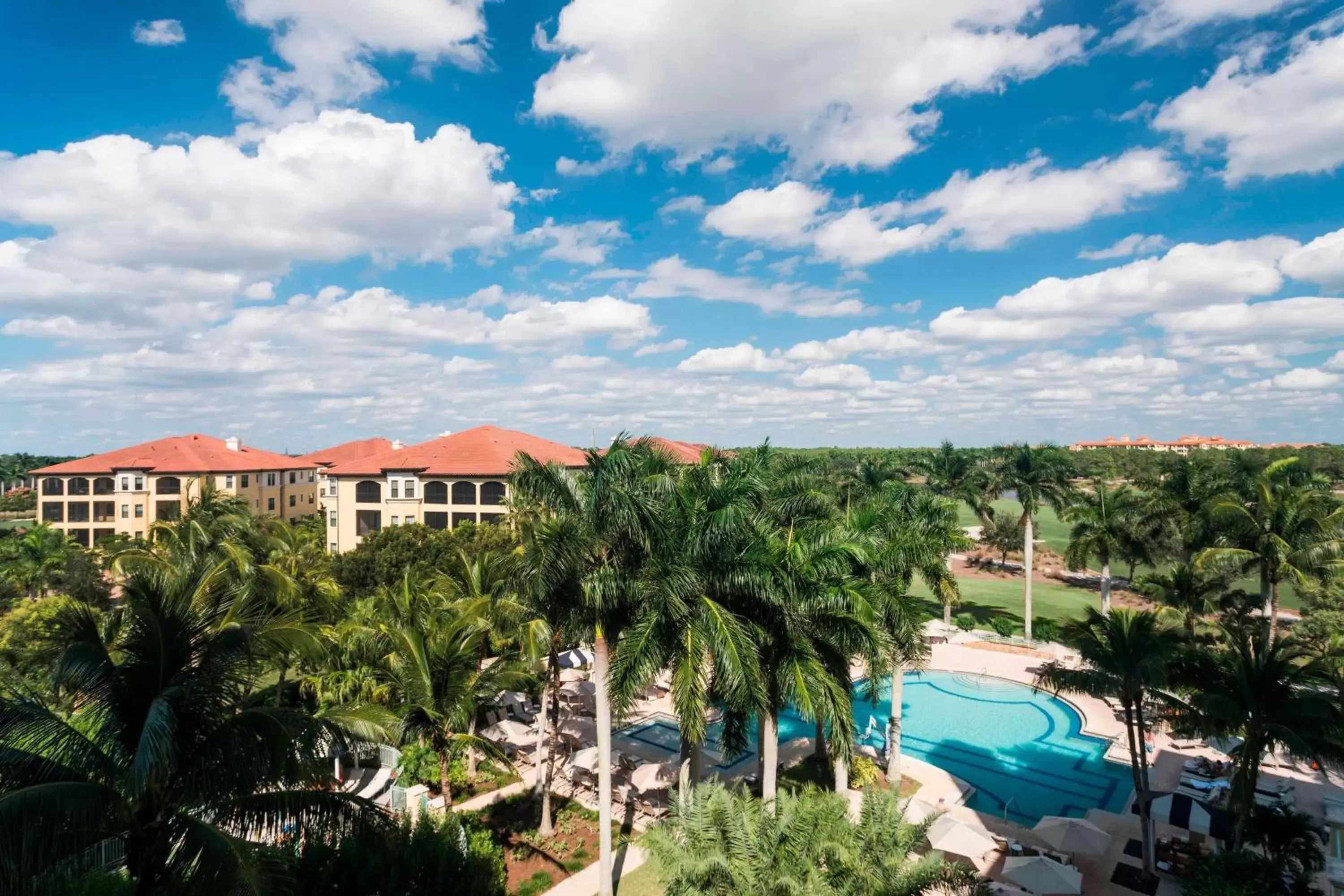 Photo of the whole room, Pool View in The Ritz-Carlton Naples, Tiburón