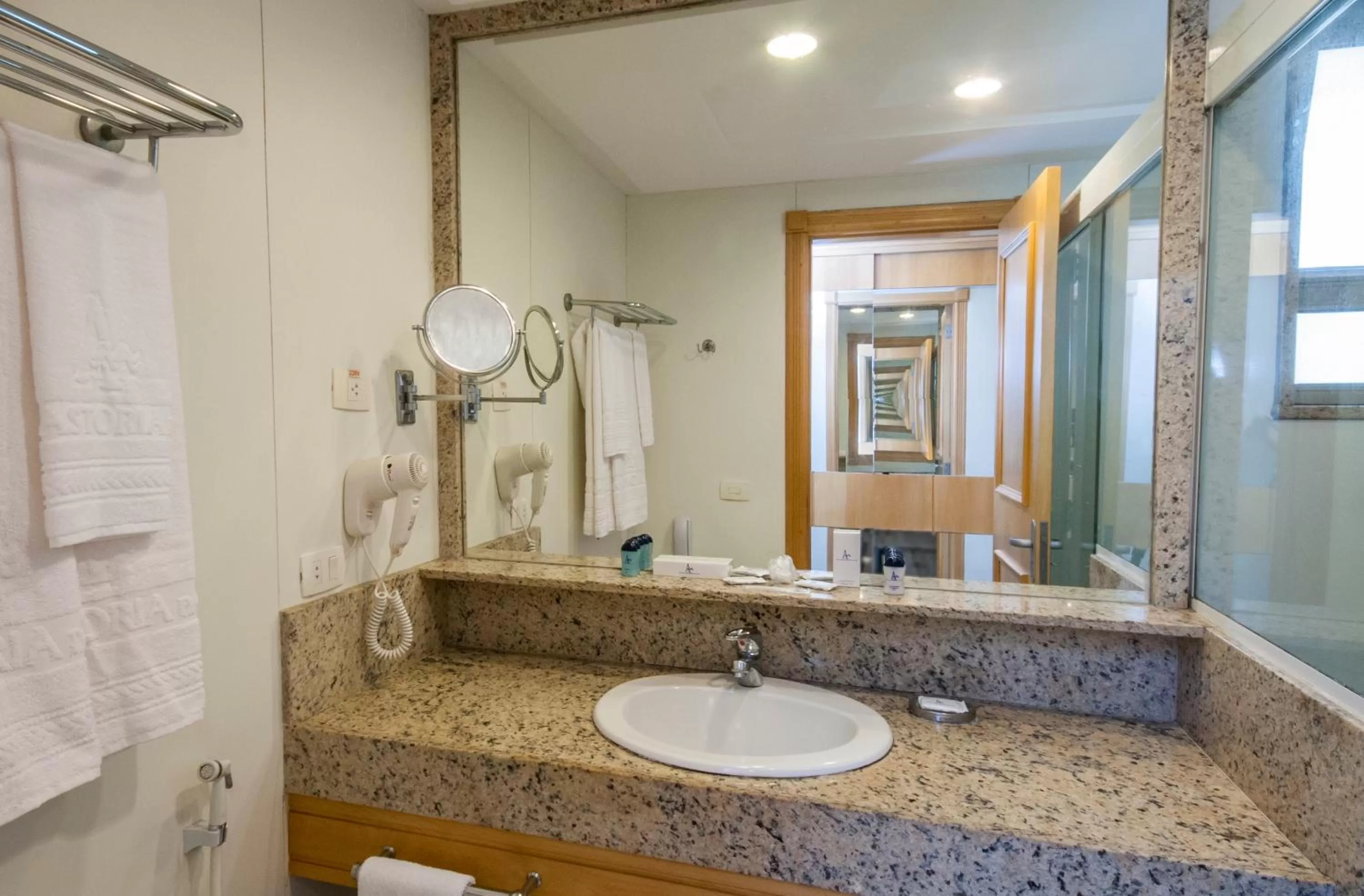 Toilet in Hotel Astoria Palace