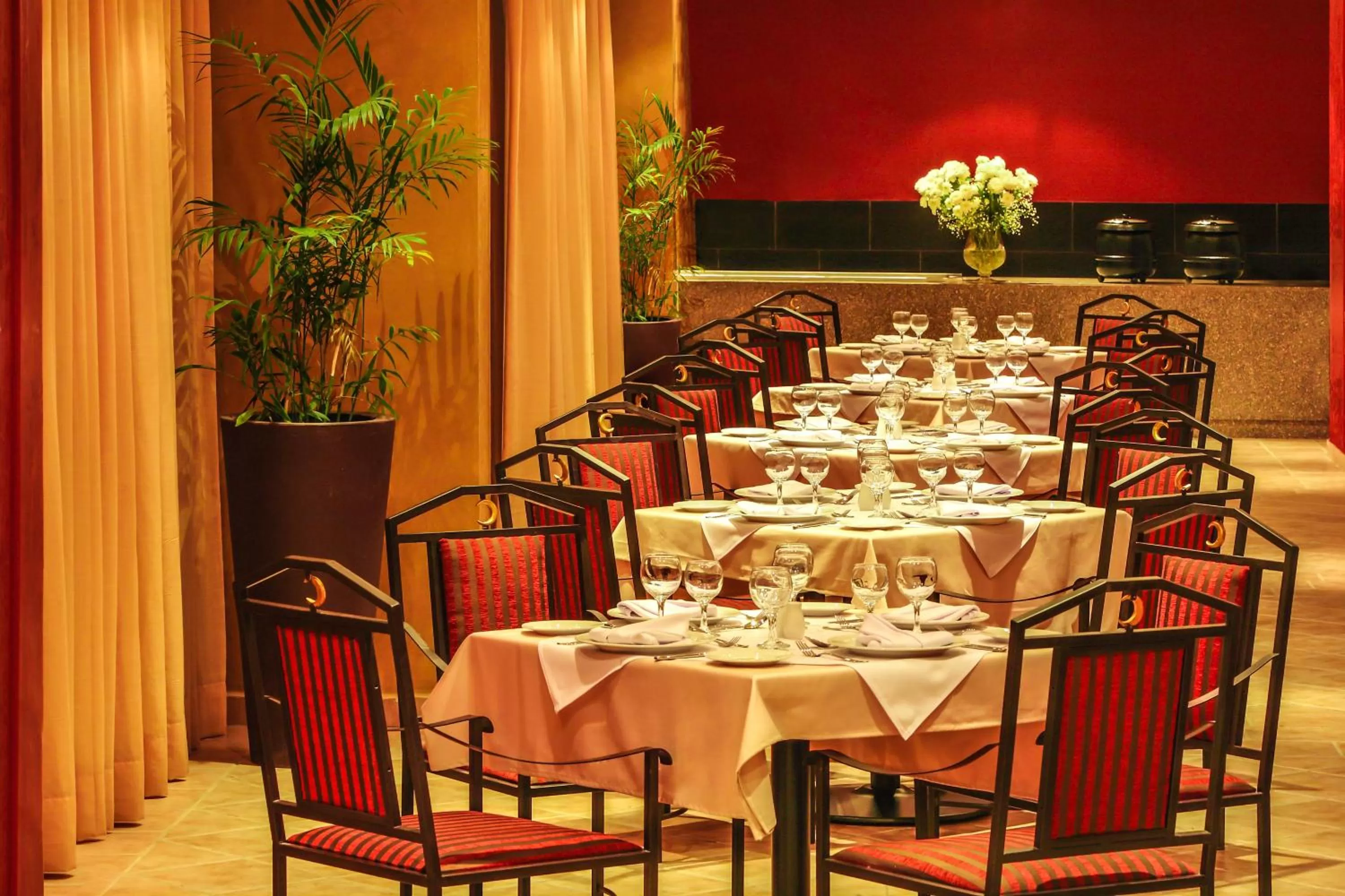 Restaurant/places to eat in Solymar Ivory Suites