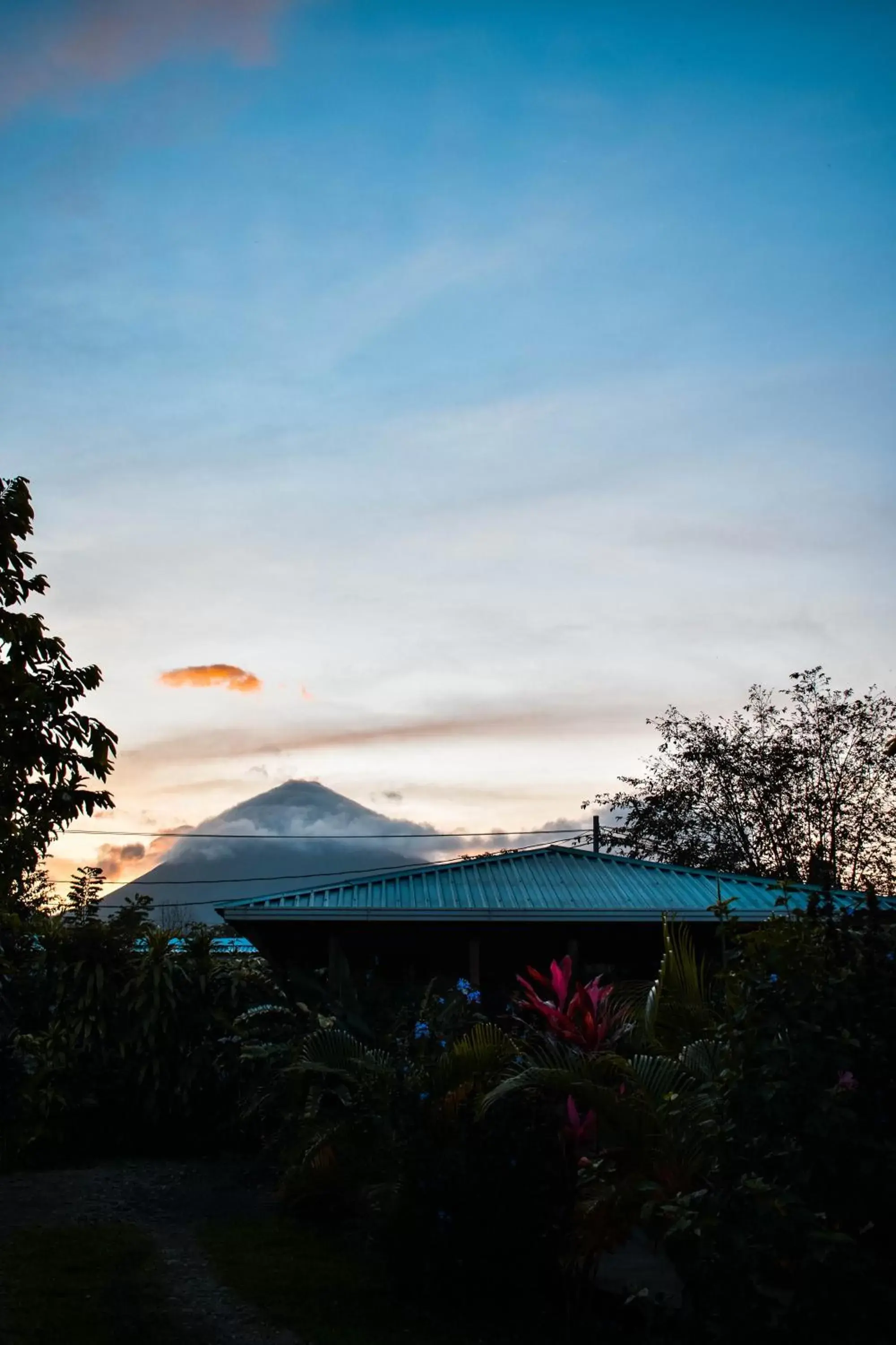 Garden view in Arenal Descanso