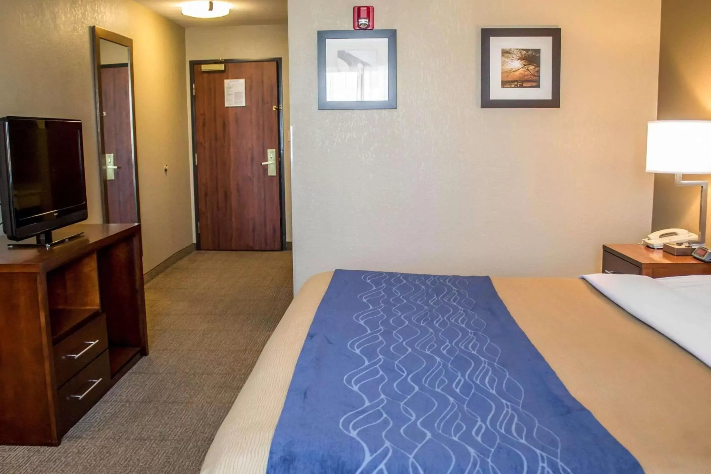 Photo of the whole room, Bed in Comfort Inn & Suites Fremont