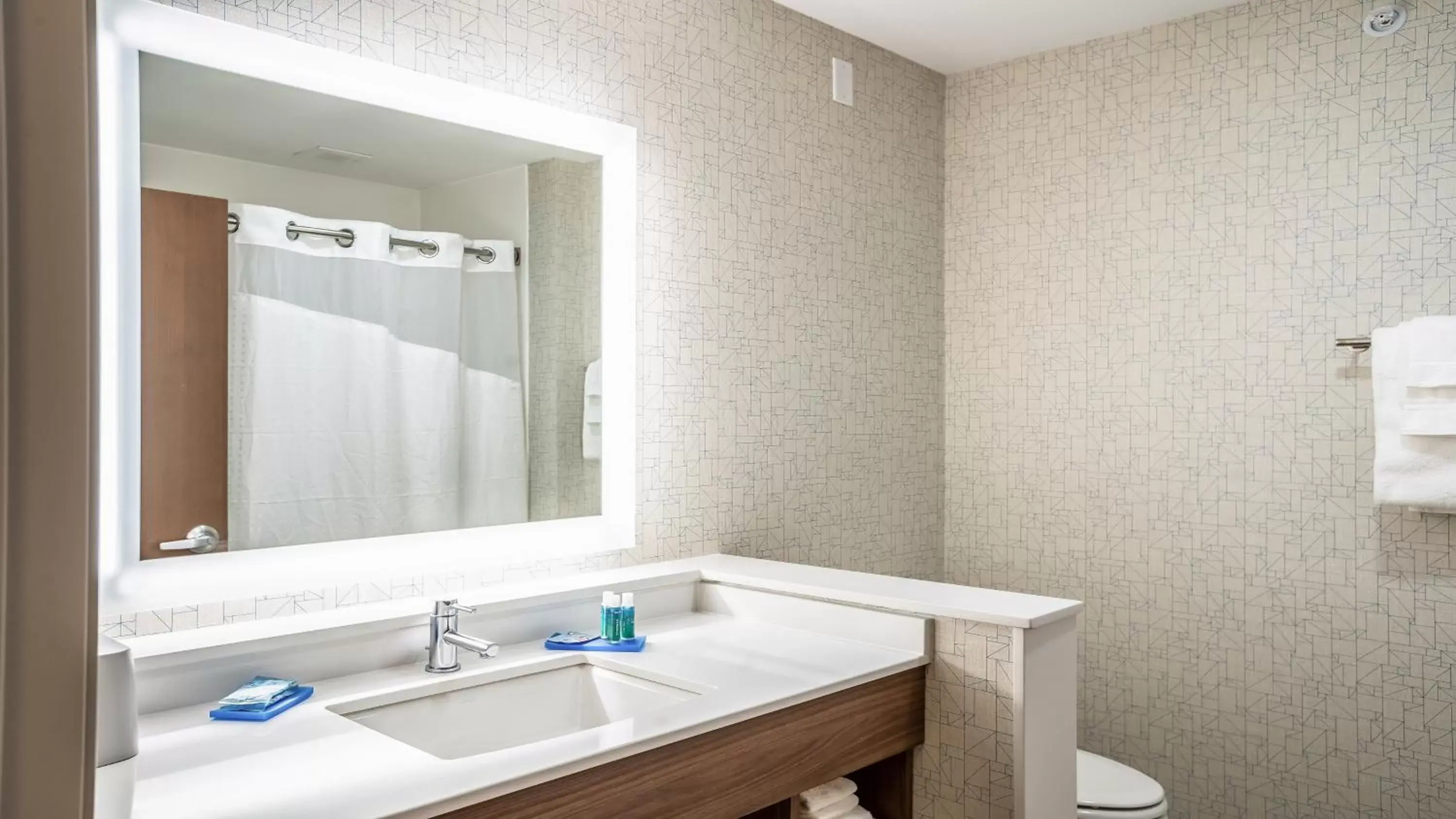 Photo of the whole room, Bathroom in Holiday Inn Express & Suites Platteville, an IHG Hotel