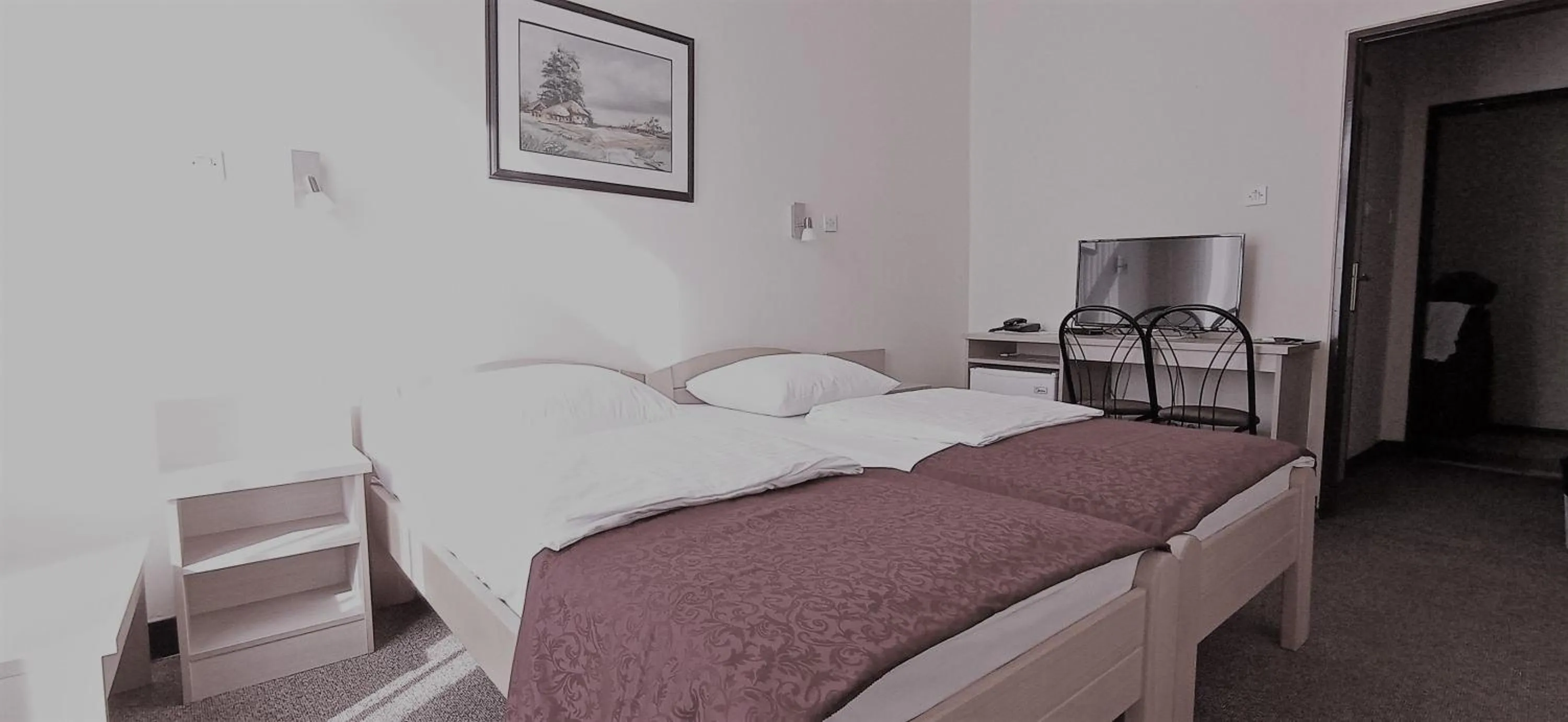 TV and multimedia, Bed in Hotel Vojvodina