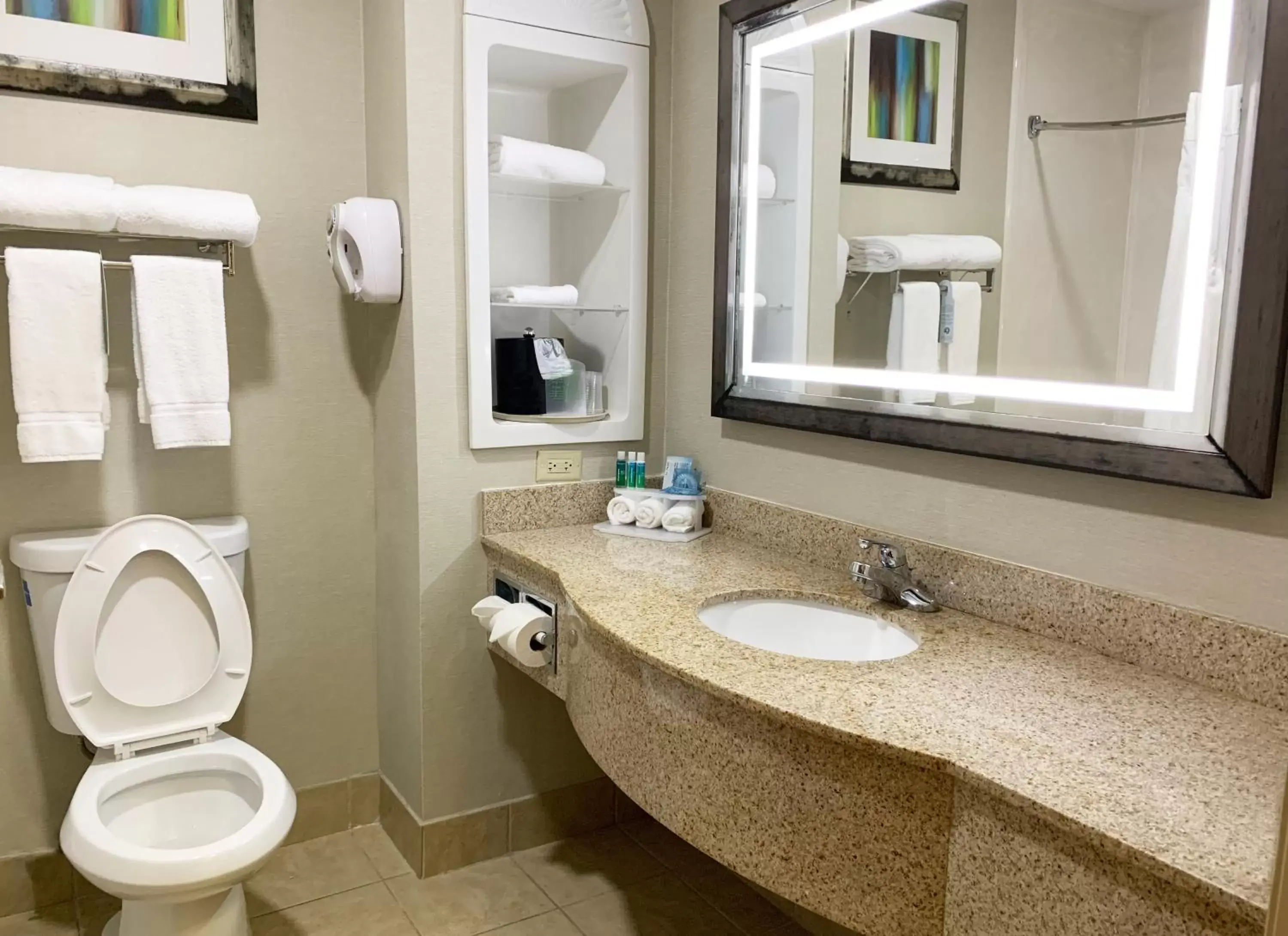 Photo of the whole room, Bathroom in Holiday Inn Express Hotel & Suites Gainesville, an IHG Hotel