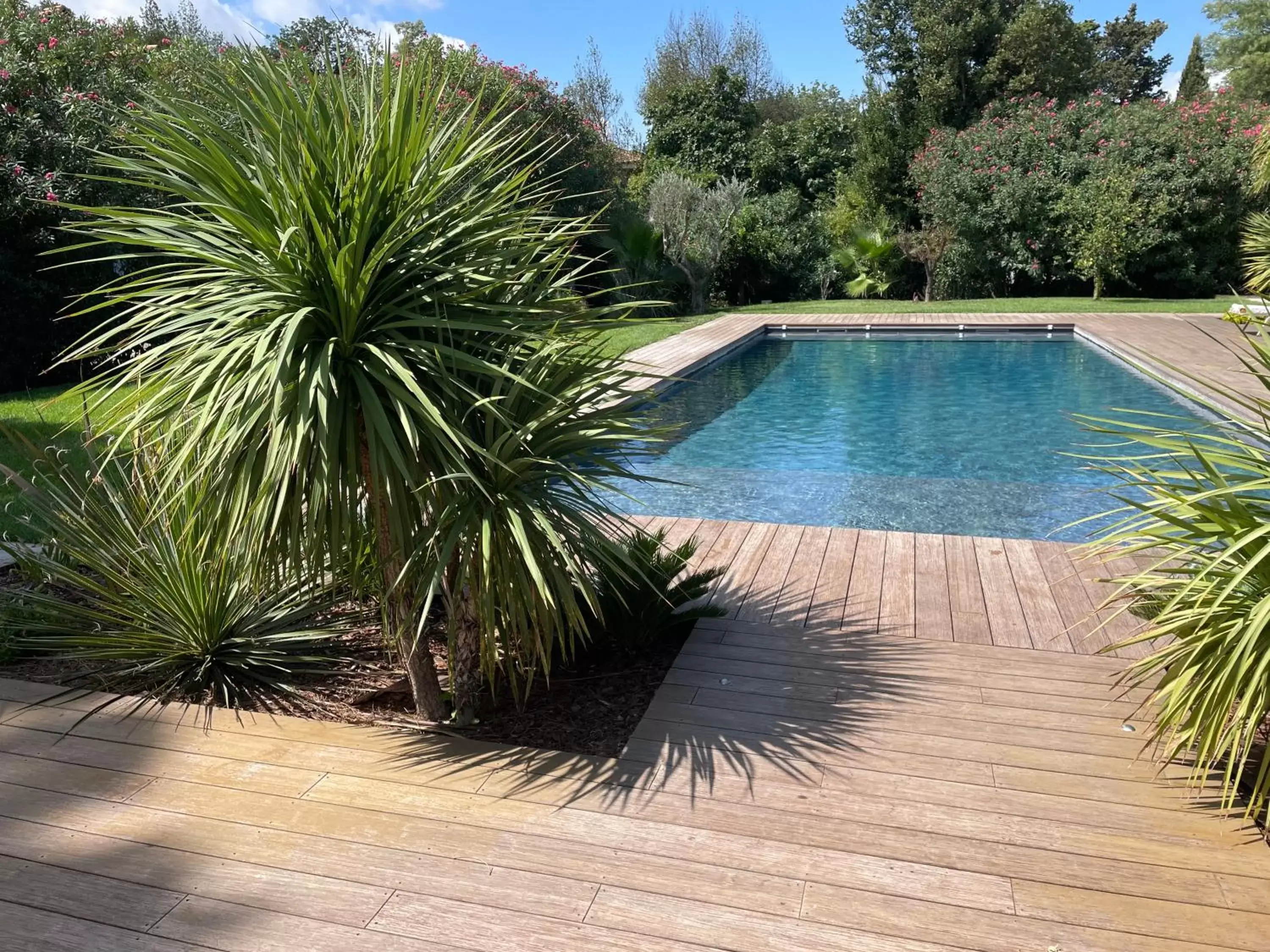 Swimming Pool in Le Mas de la Dame