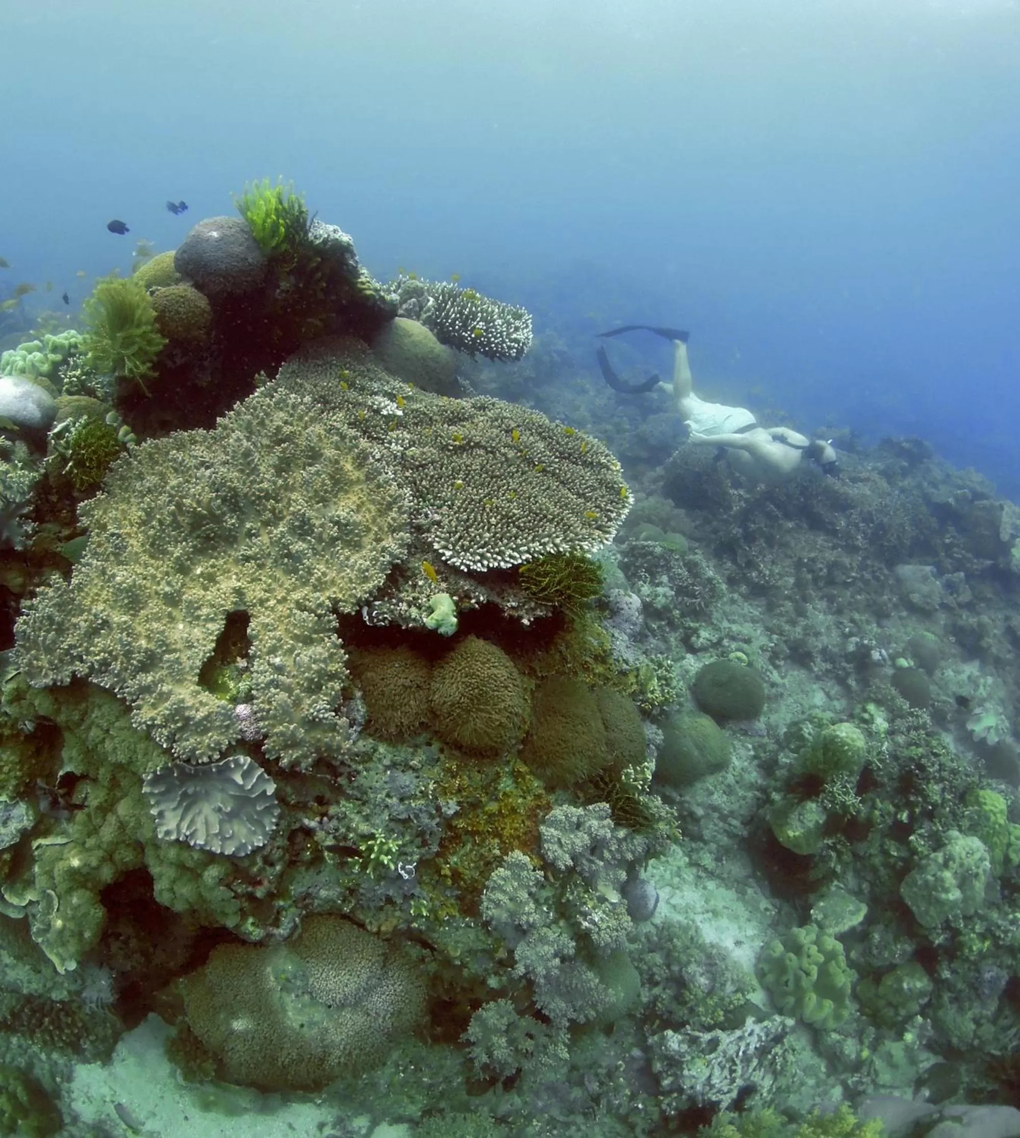 Activities in Paseo Del Mar Seaside Inn