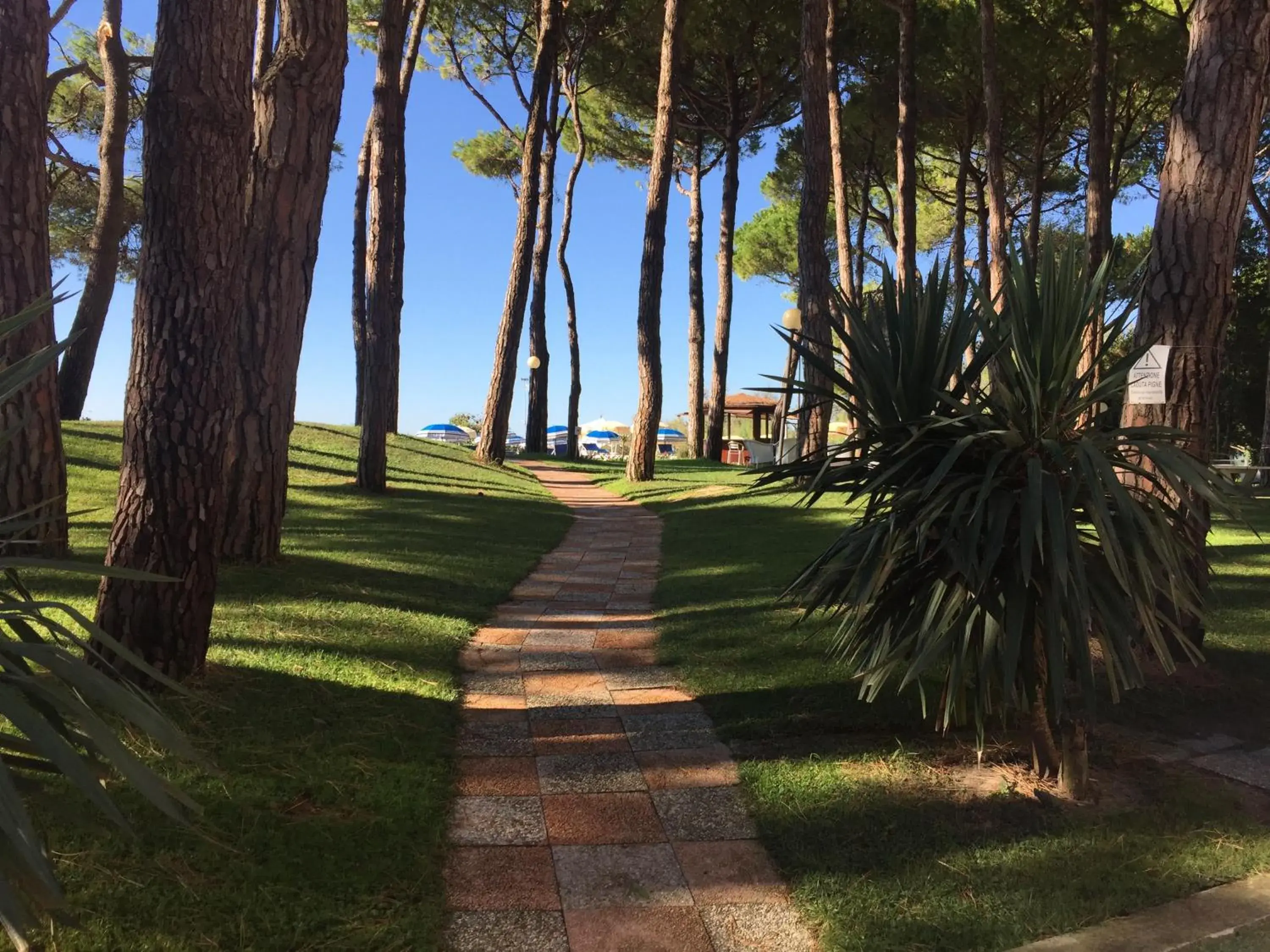 Natural landscape, Garden in Hotel Beau Rivage Pineta