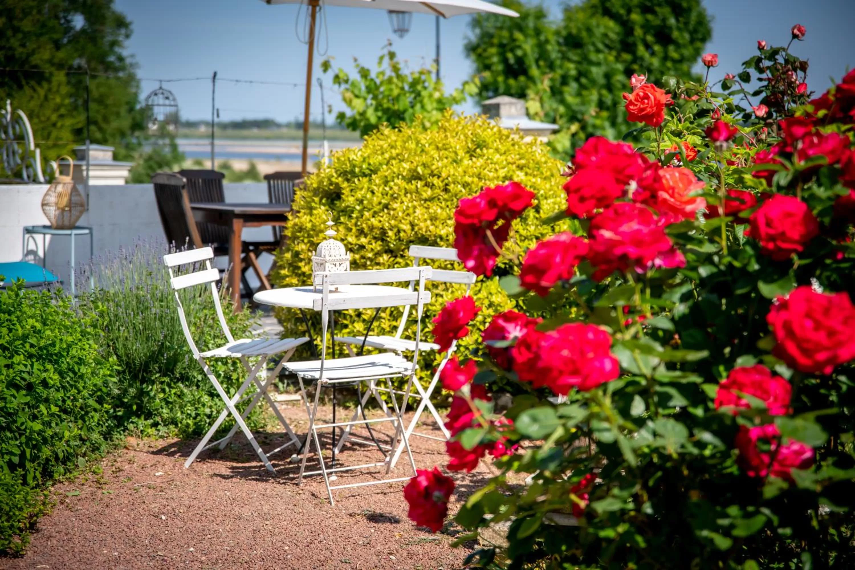Garden in Le Clos Eugénie