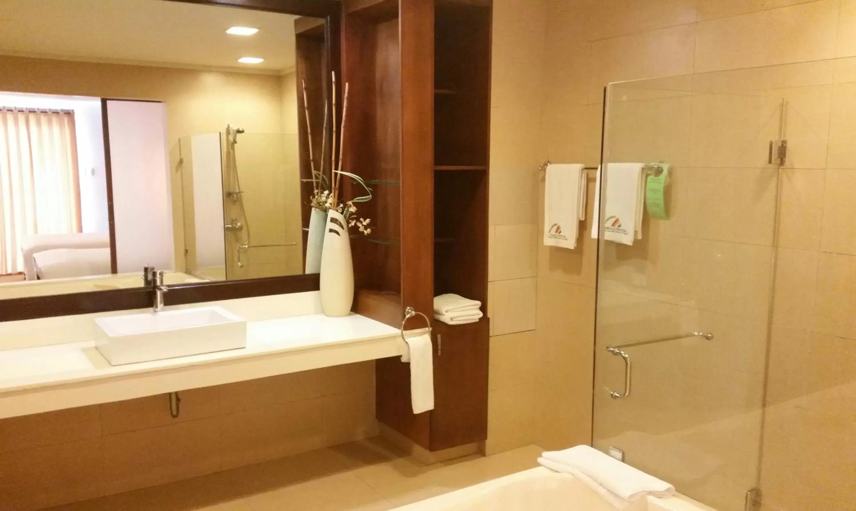 Shower, Bathroom in Coron Gateway Hotel & Suites